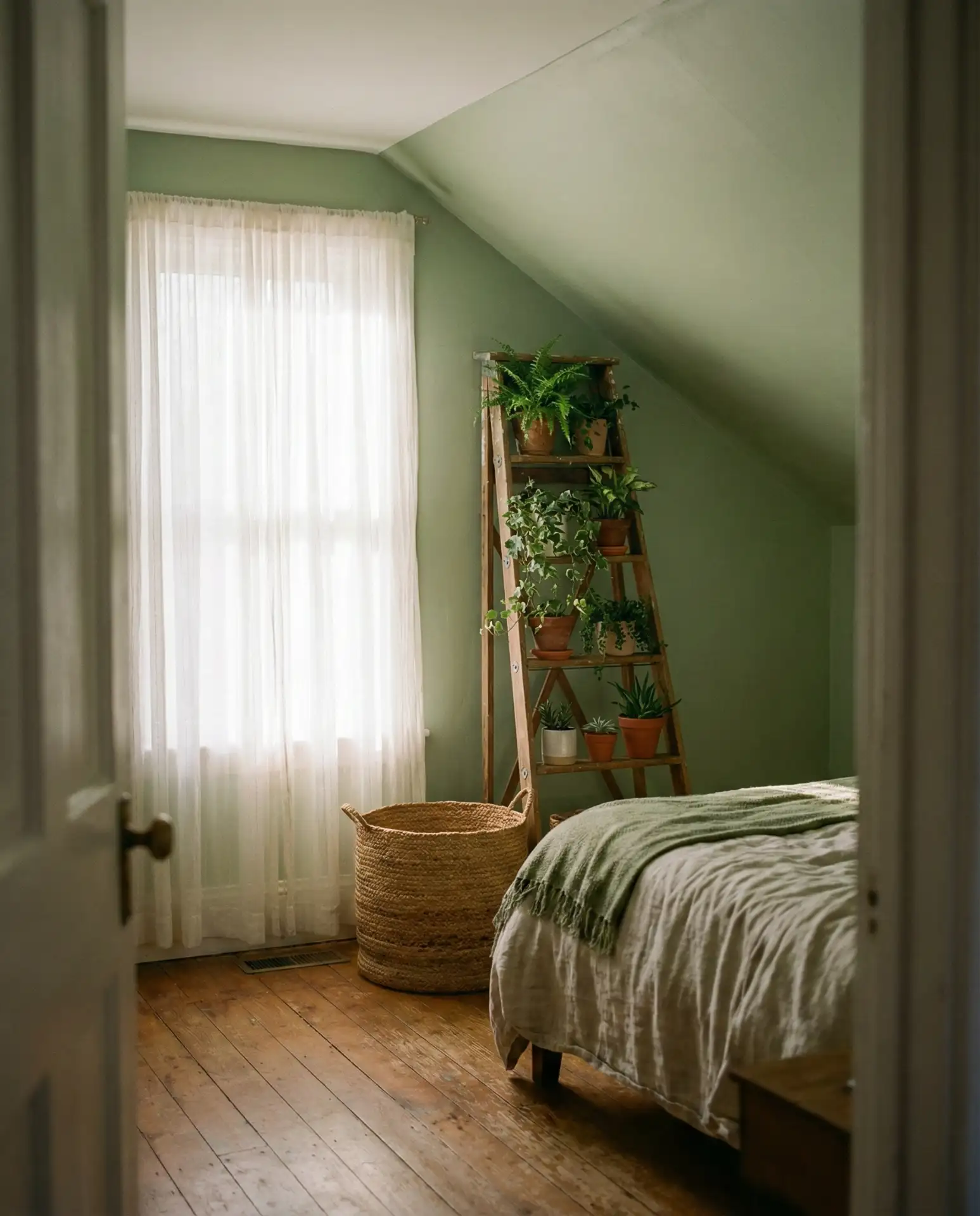 Green and Natural Retreat 2