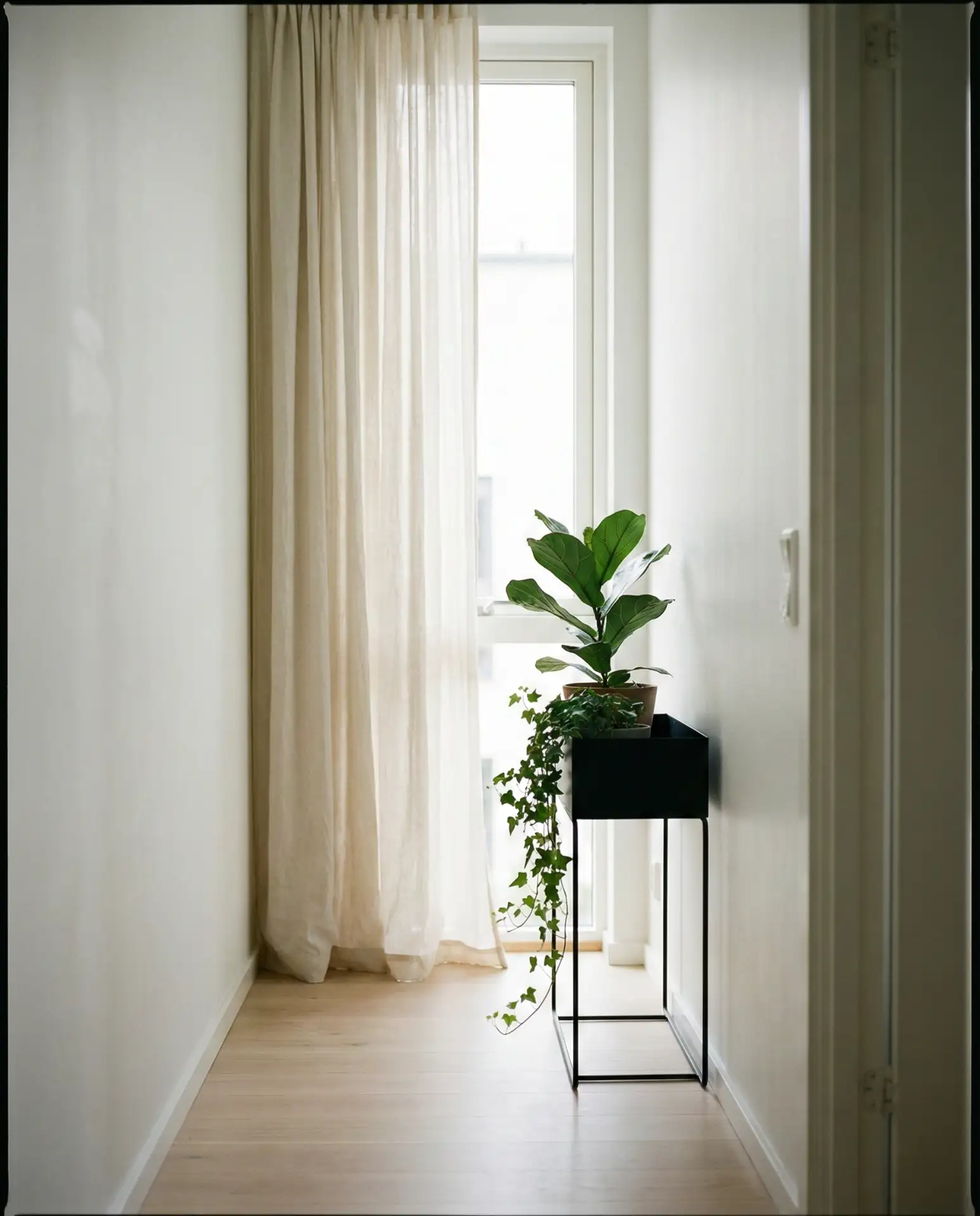 Large Window with Natural Light 1