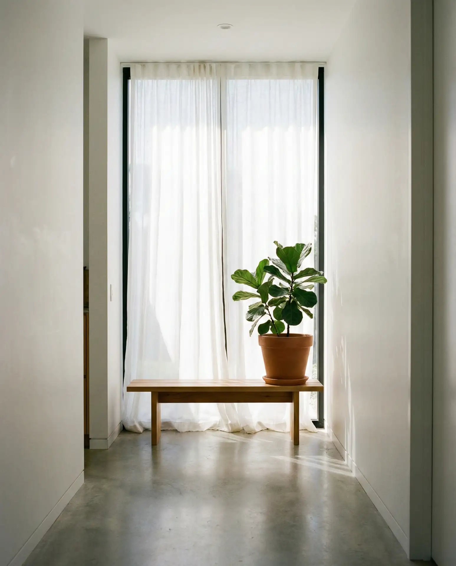 Large Window with Natural Light 2