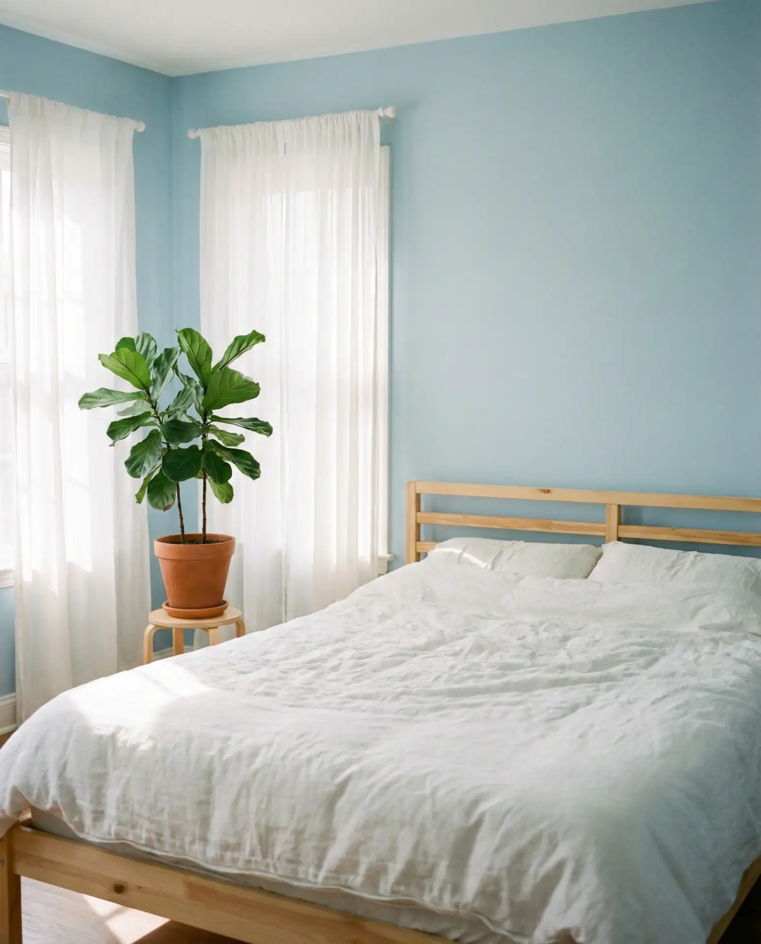 Light Blue Airy Freshness 1