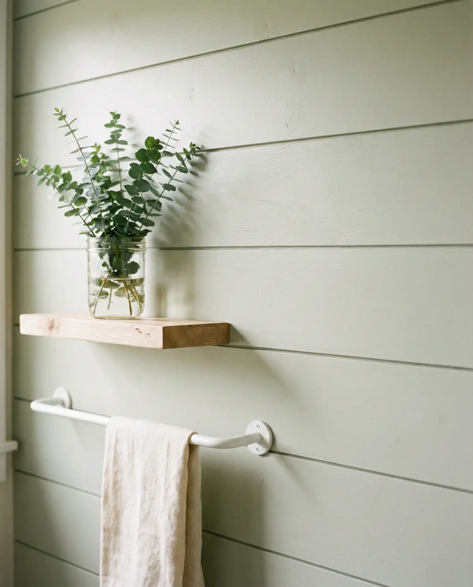 Light Sage Shiplap Walls 2