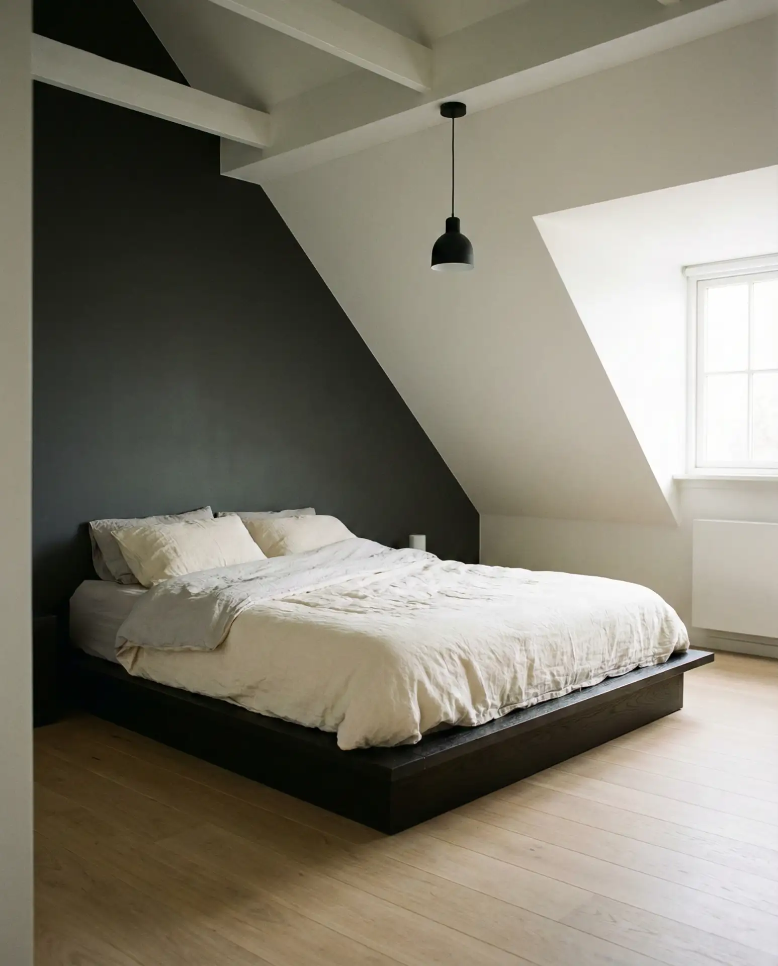 Modern Minimalist Low Ceiling Haven 2