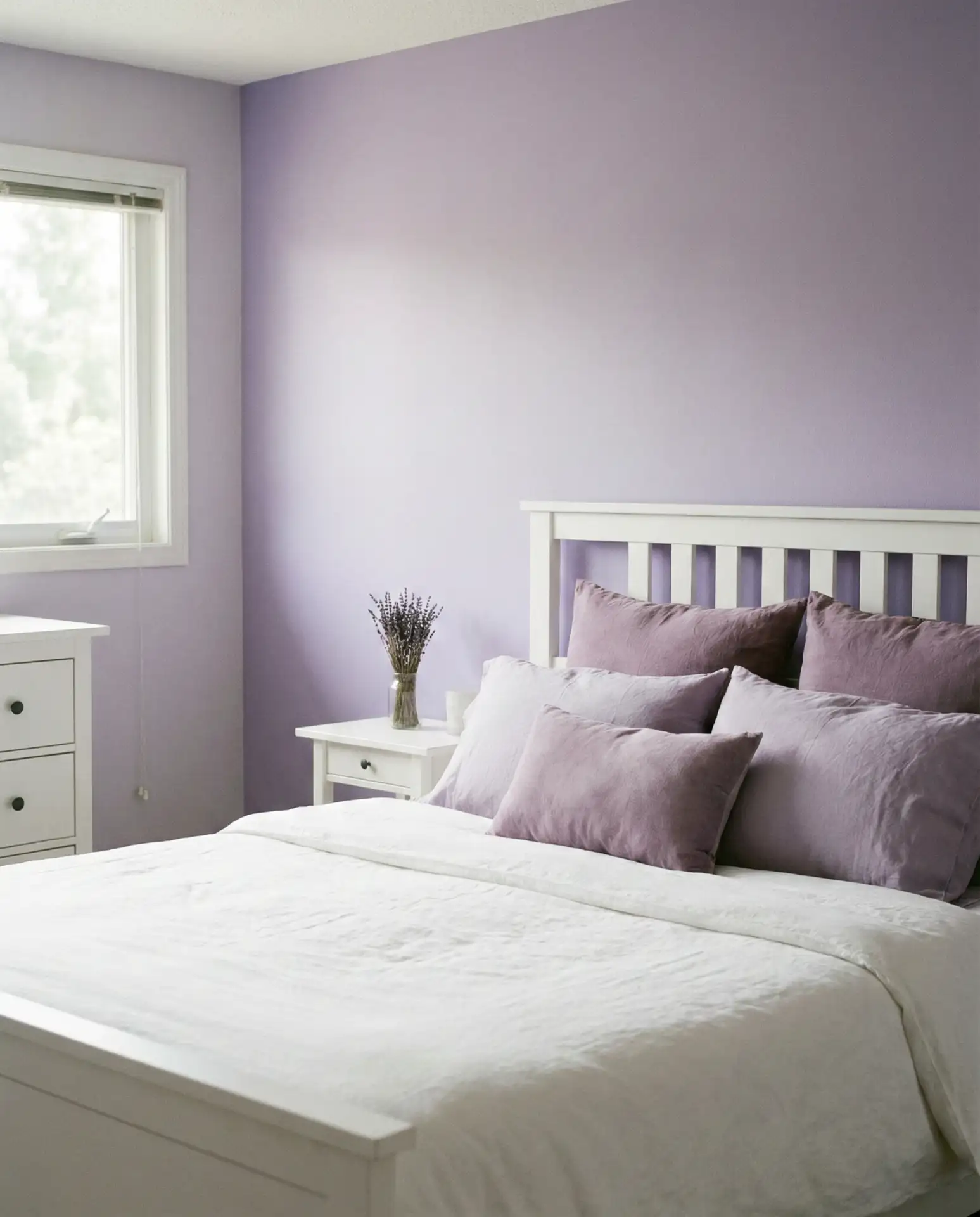 Purple and White Regal Calm 1