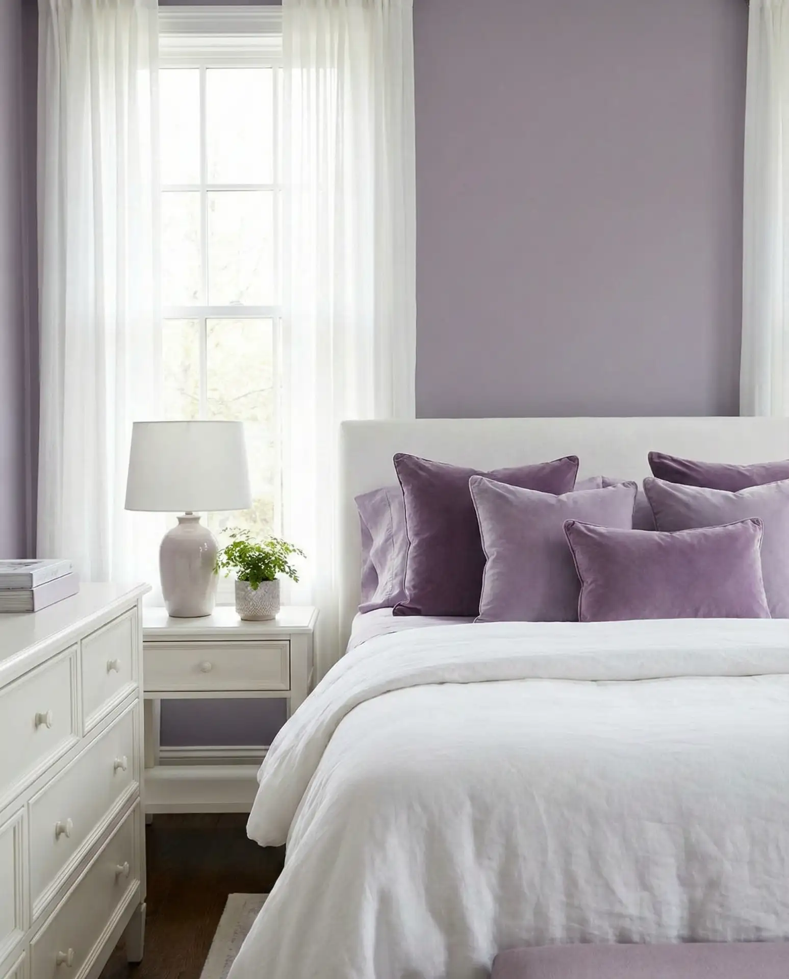 Purple and White Regal Calm 2