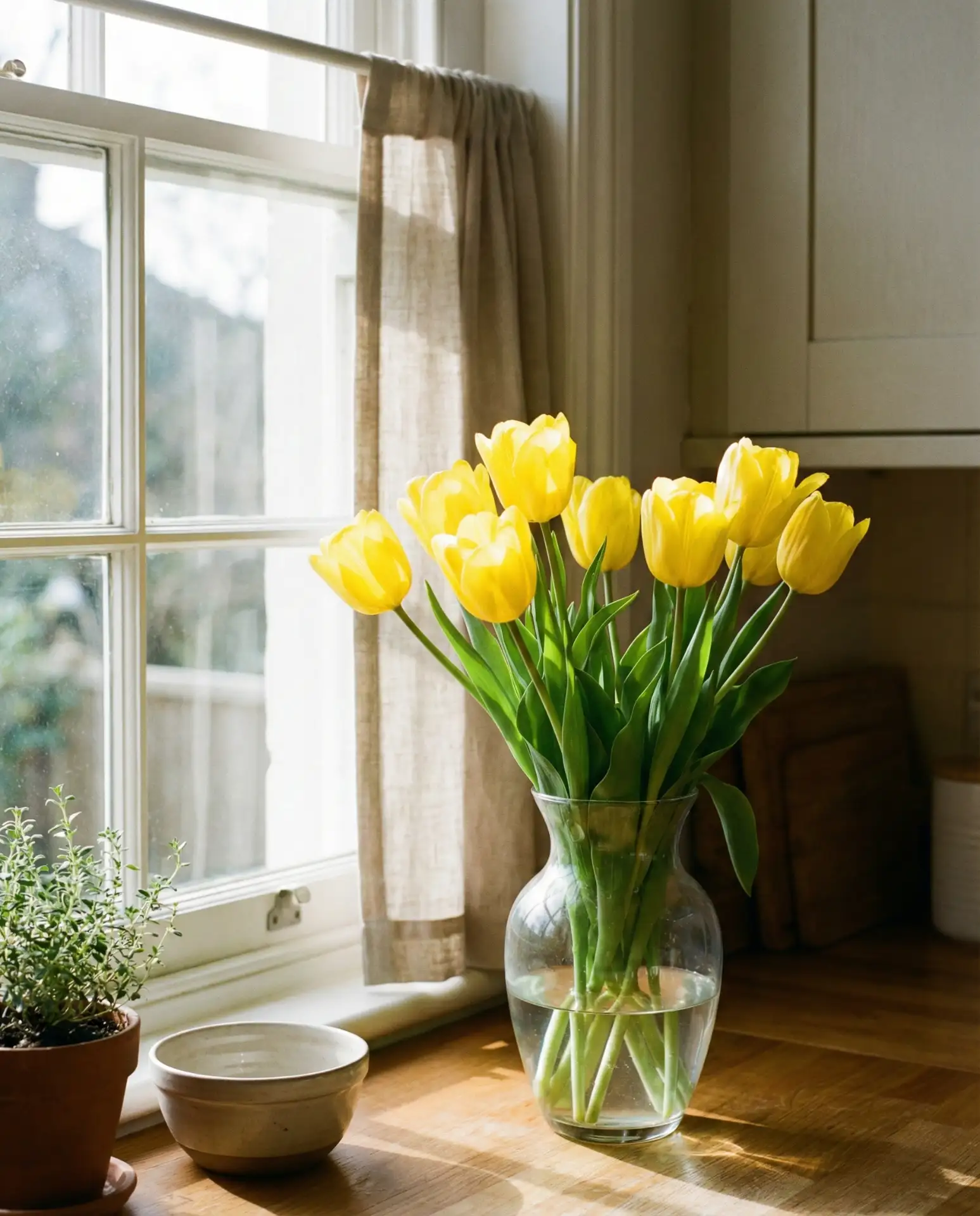 Spring Tulips in a Clear Glass Vase 1