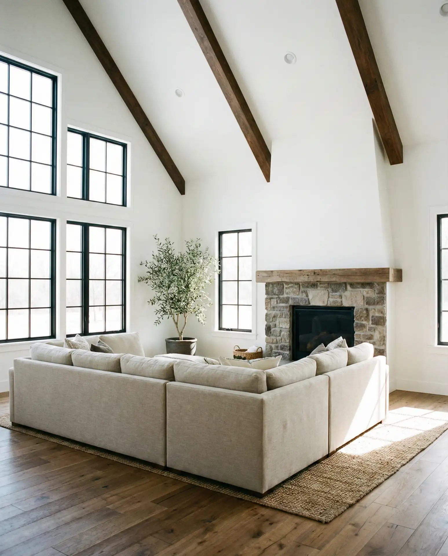 Statement Beam Ceiling 2