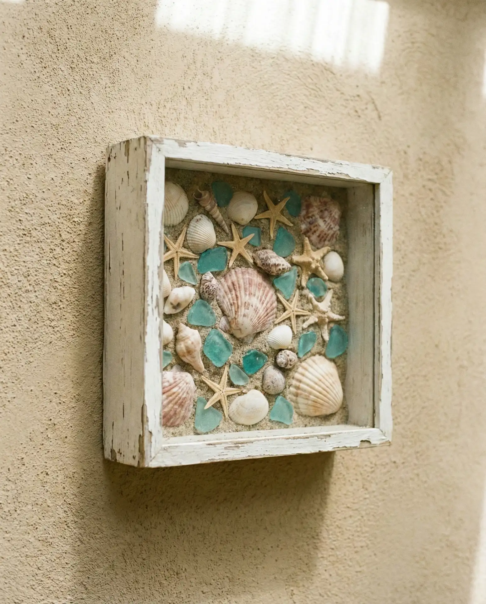Coastal Shell Collection Display 1