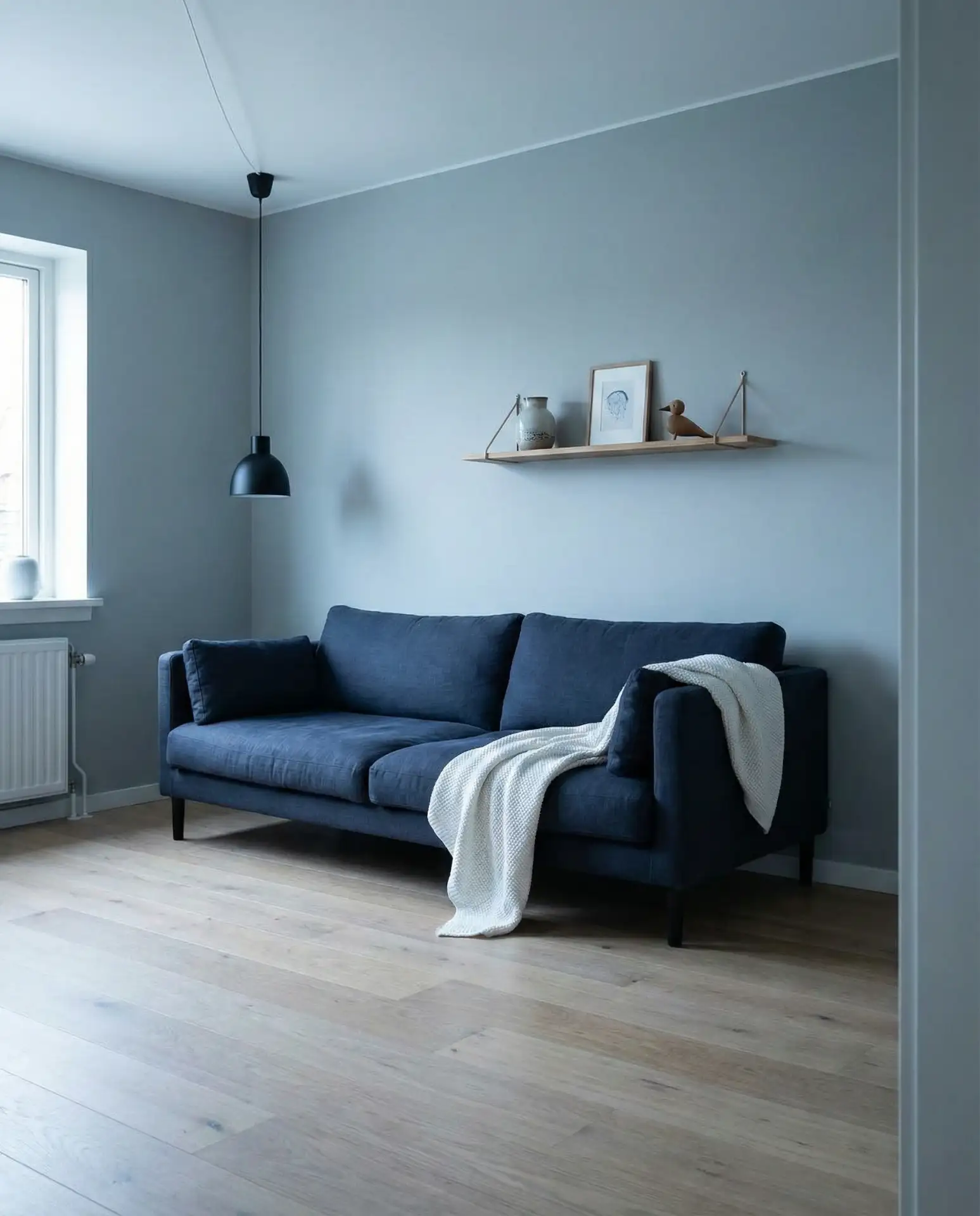 Gray and Blue Scandinavian Living Room 1