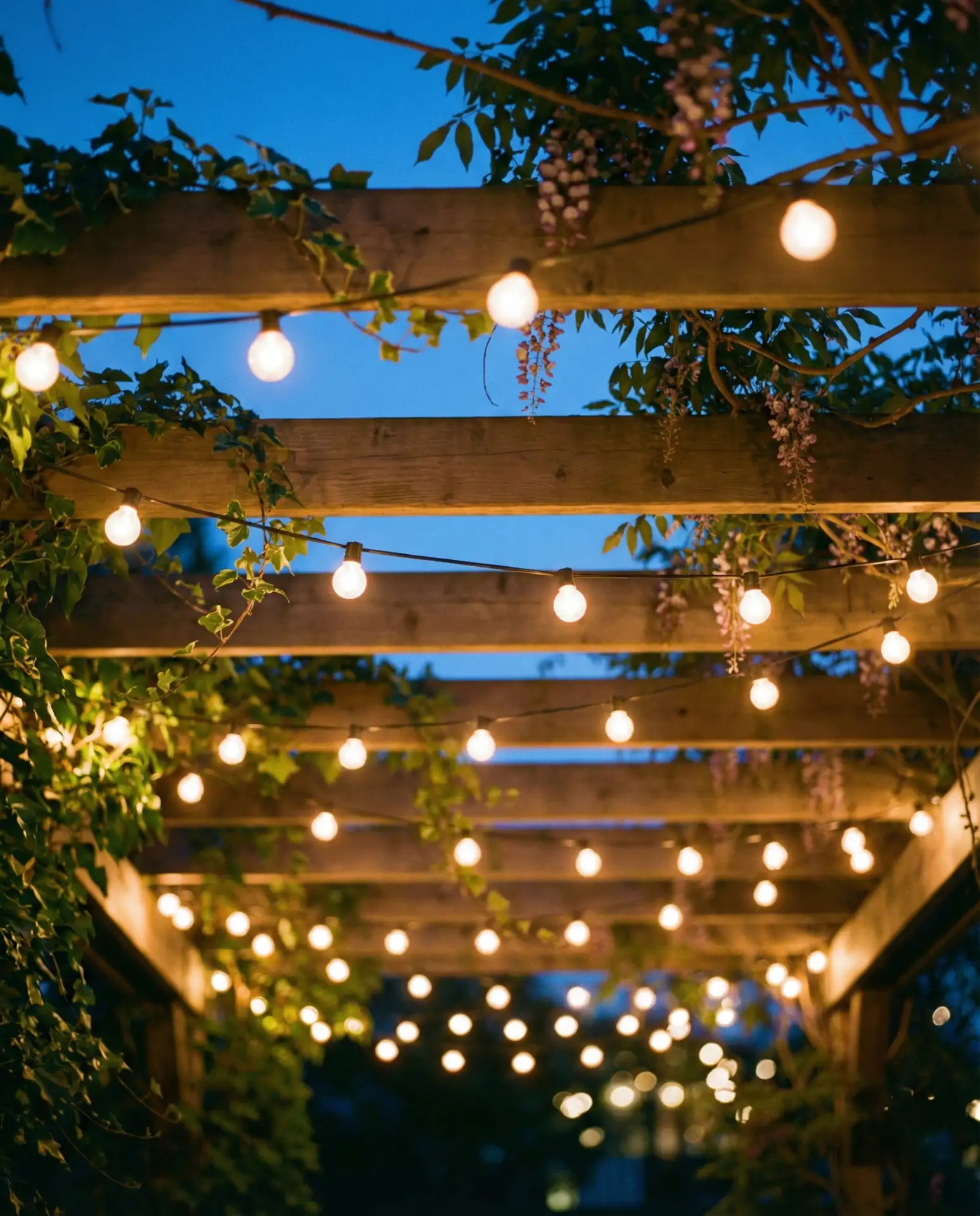 Layered String Light Canopy 1