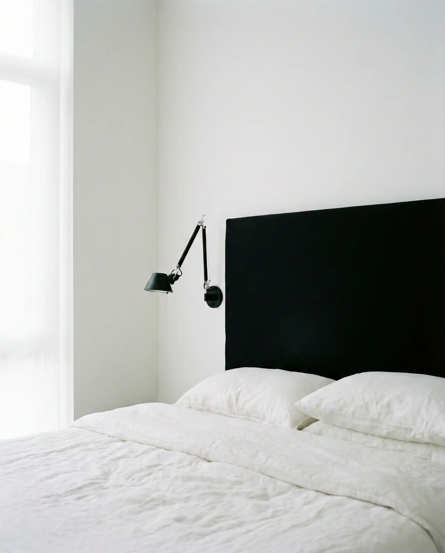 Minimalist Black and White Contrast 1