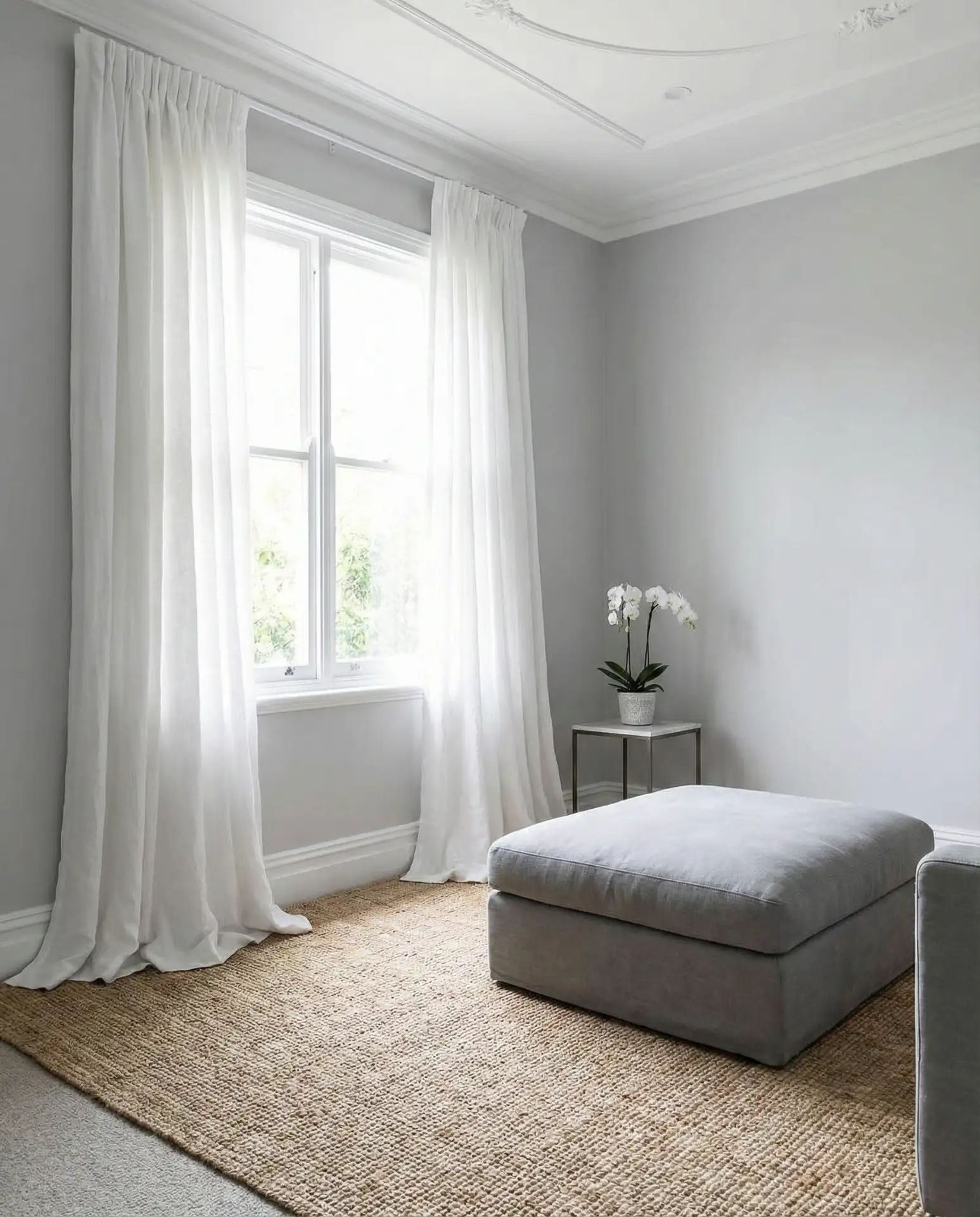 White and Grey Living Room 2