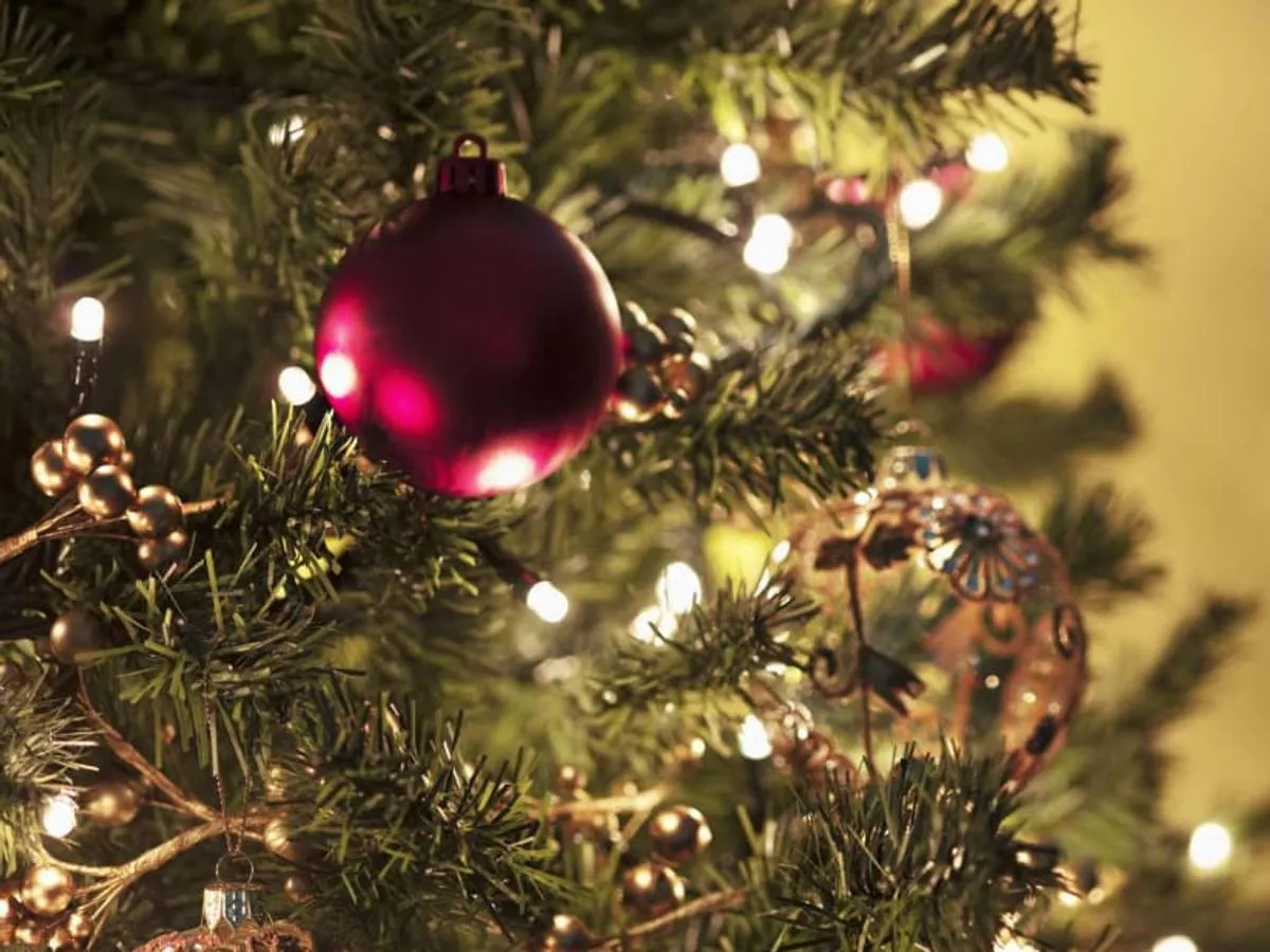 11 Facts You Might Not Know About Christmas Trees