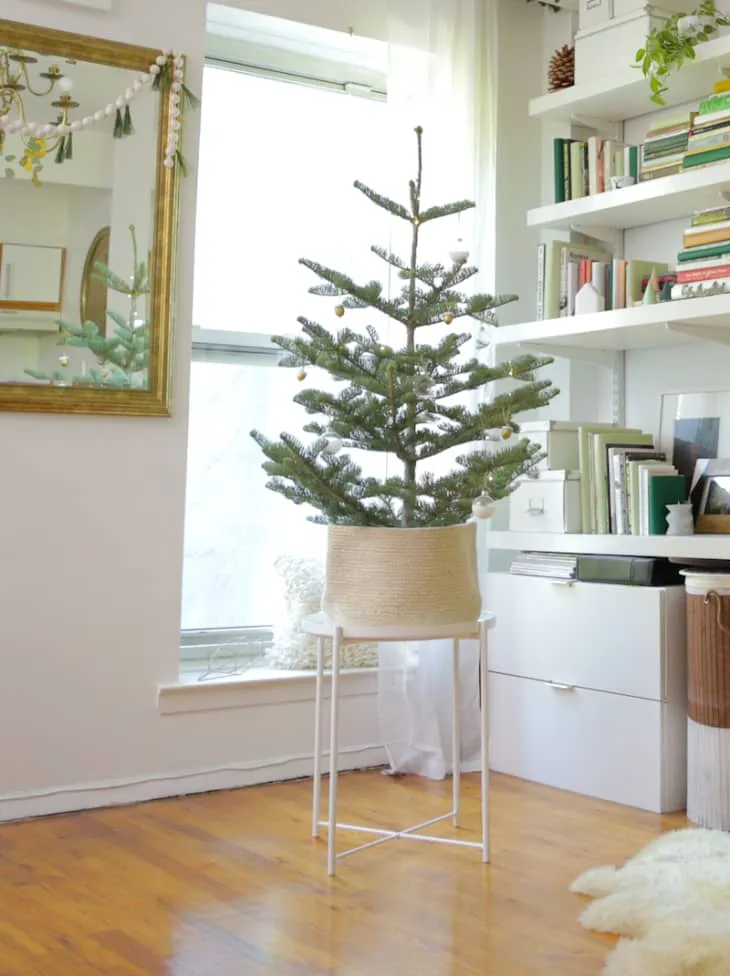 12 Minimalist Christmas Tree Ideas for Every Type of Home | Apartment Therapy