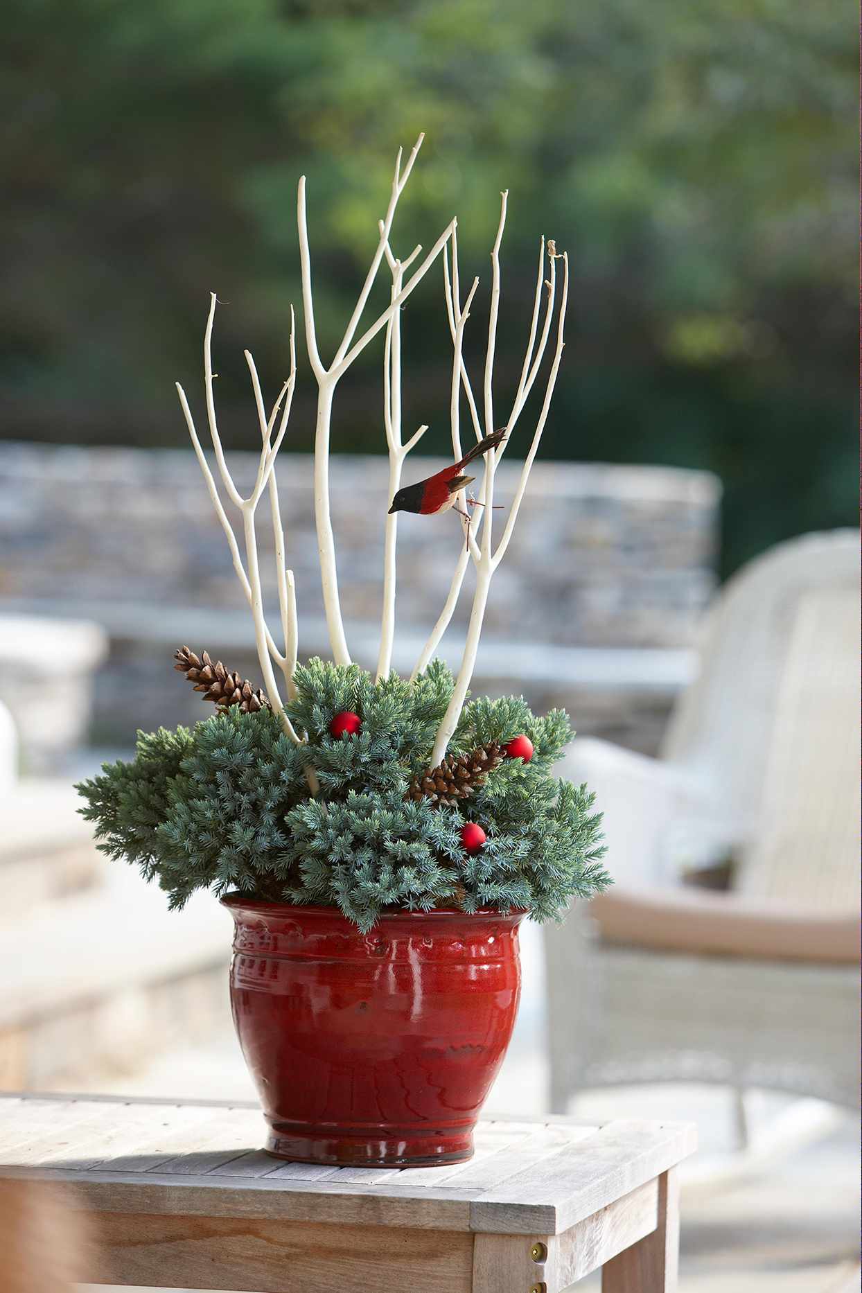 14 Winter Planter Ideas for Holiday Cheer