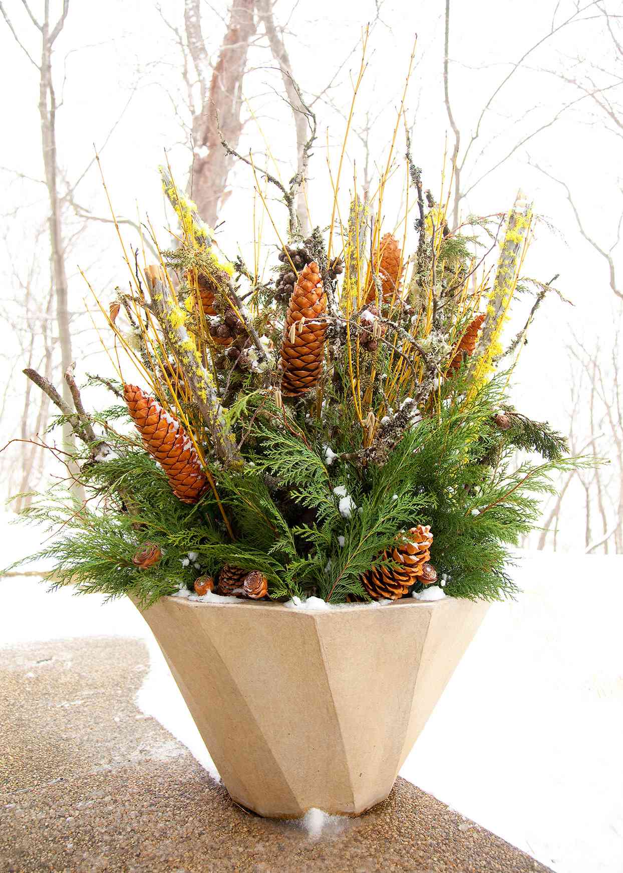 14 Winter Planter Ideas for Holiday Cheer