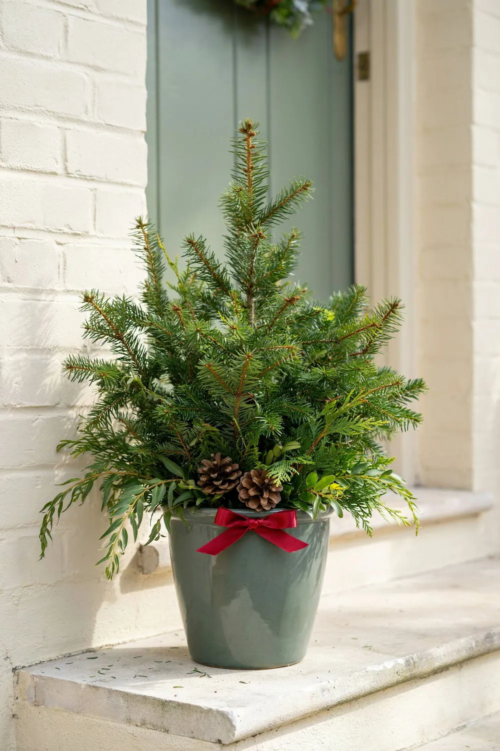 15 Cheap Christmas Planter Ideas That Look Surprisingly Expensive | DIY Garden