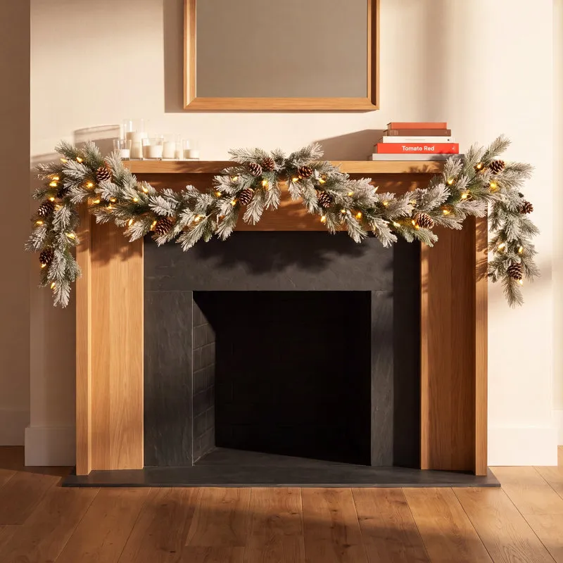 72' Frosted Pre-Lit Pine Christmas Garland