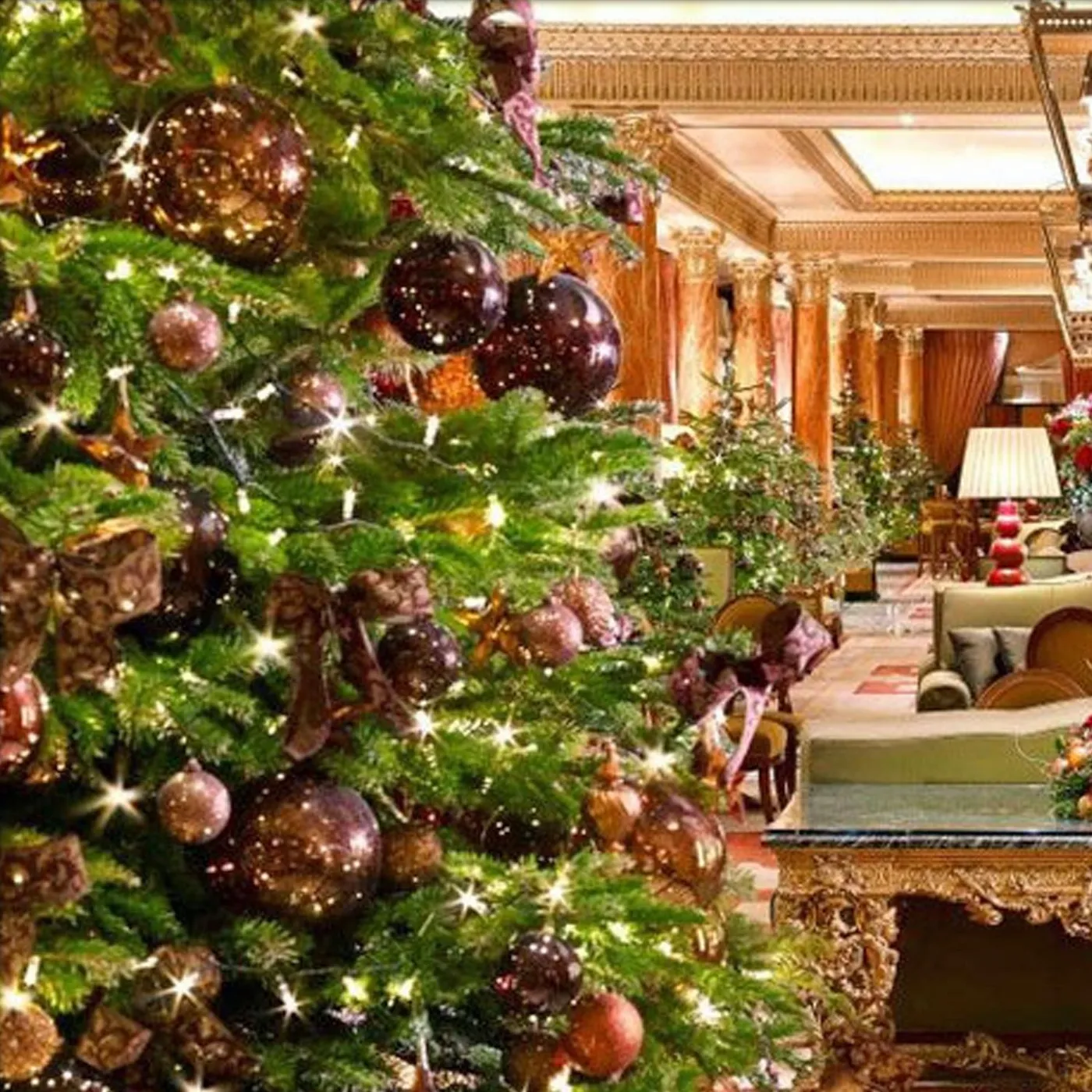 8ft+ Real Decorated Christmas Tree (10 Colour Schemes): Standard Decorations: All Red - 8DSDRS - Deliver me a Christmas tree - Deliver Me a Christmas Tree