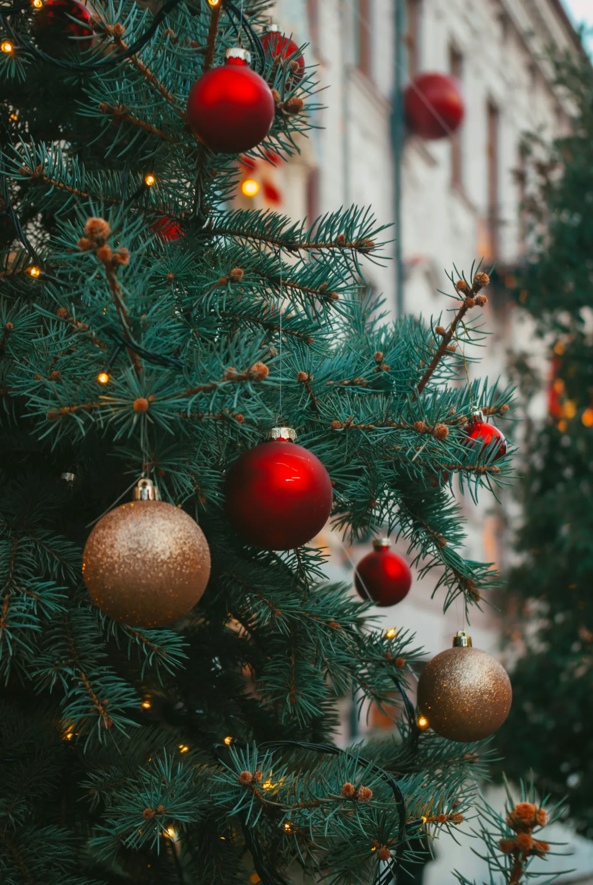A christmas tree with red and gold ornaments - Free Photo on Unsplash