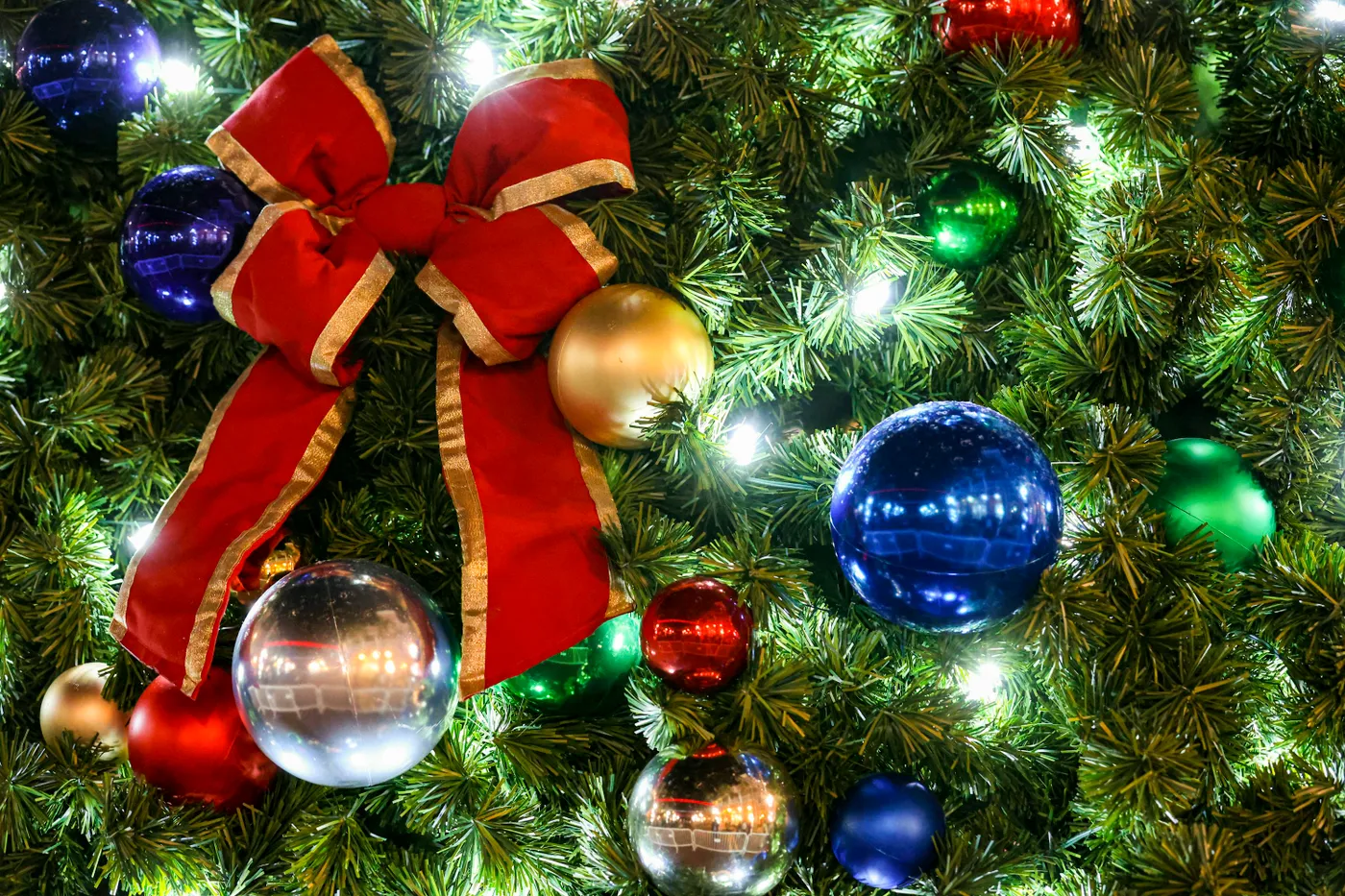 A close up of a christmas tree with ornaments - Free Photo on Unsplash
