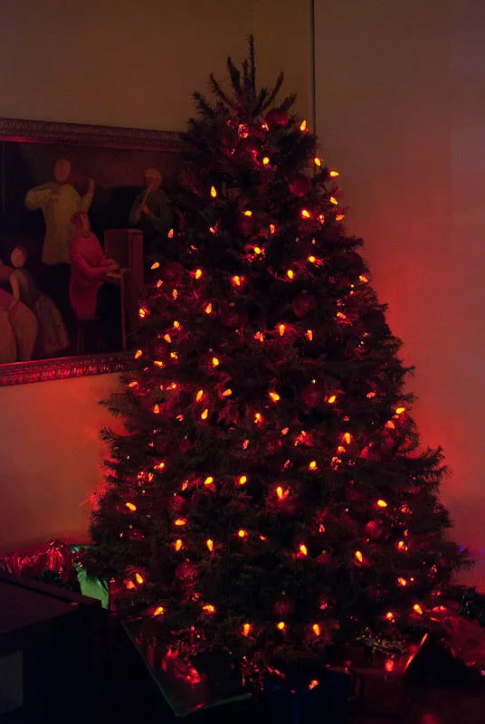 A CVI Christmas! - Little Bear Sees