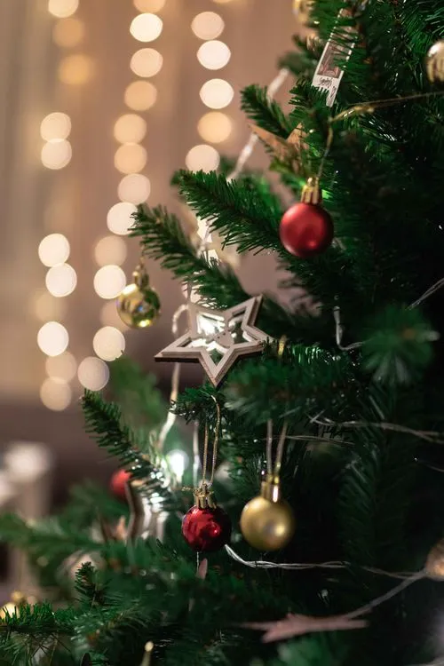 A Wooden Pine Tree Christmas Ornament Hanging on a Christmas Tree · Free  Stock Photo