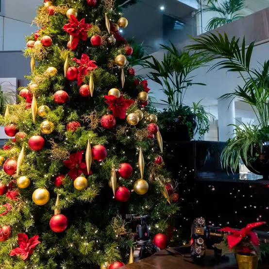 About The Gold vs Silver Christmas Office Décor | Ambius