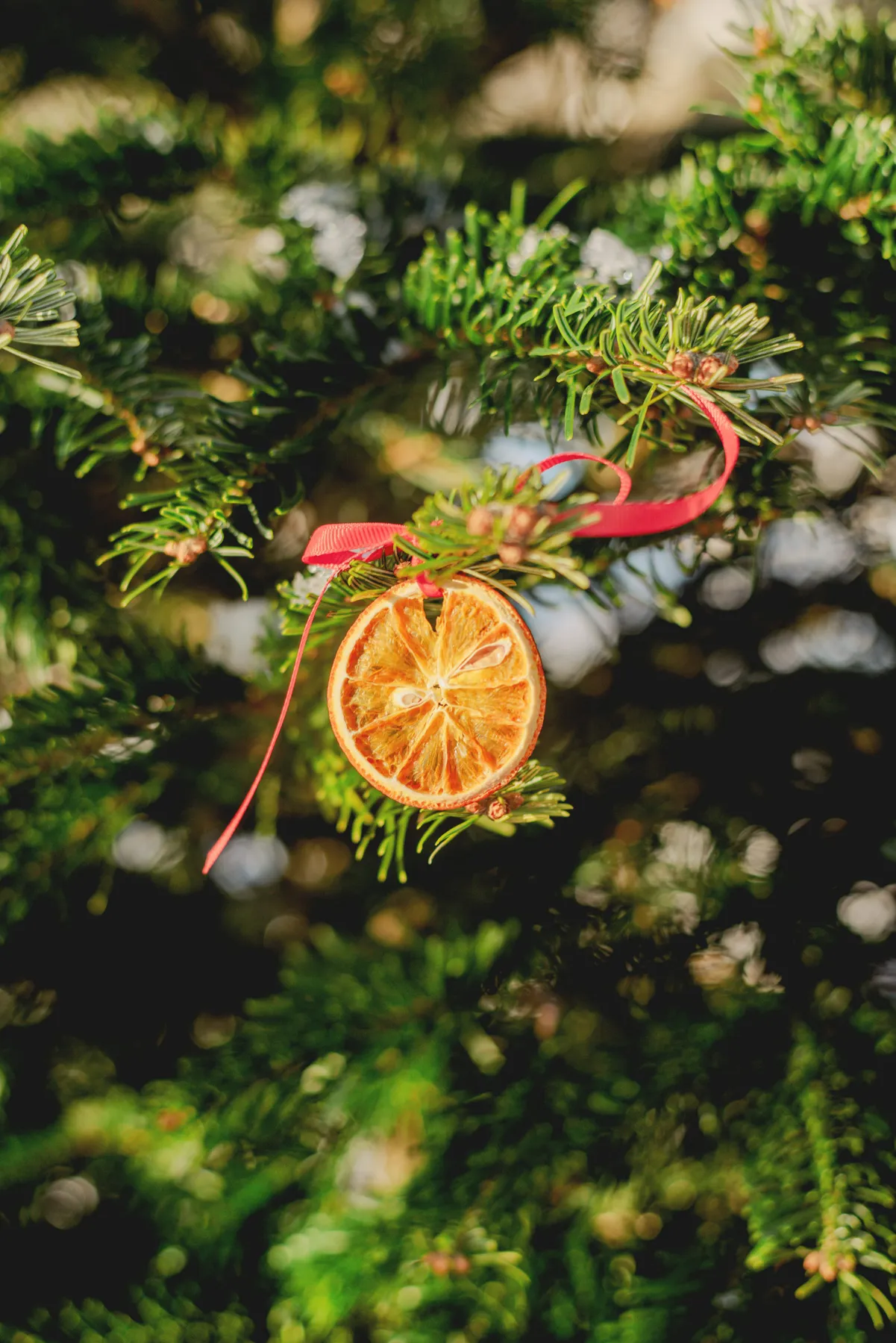 An orange ornament hanging from a christmas tree - Free Photo on Unsplash
