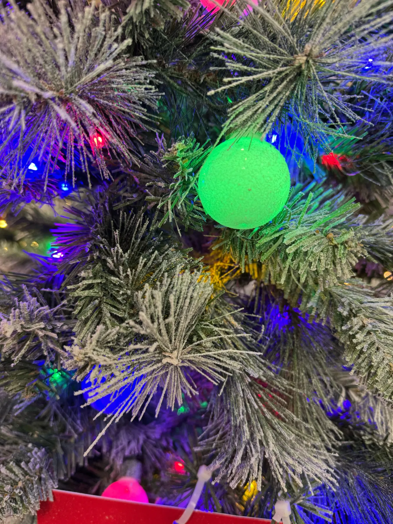 Ashland Glacier Fir 7.5 ft — Review (2025) | Christmas Tree Review Hub