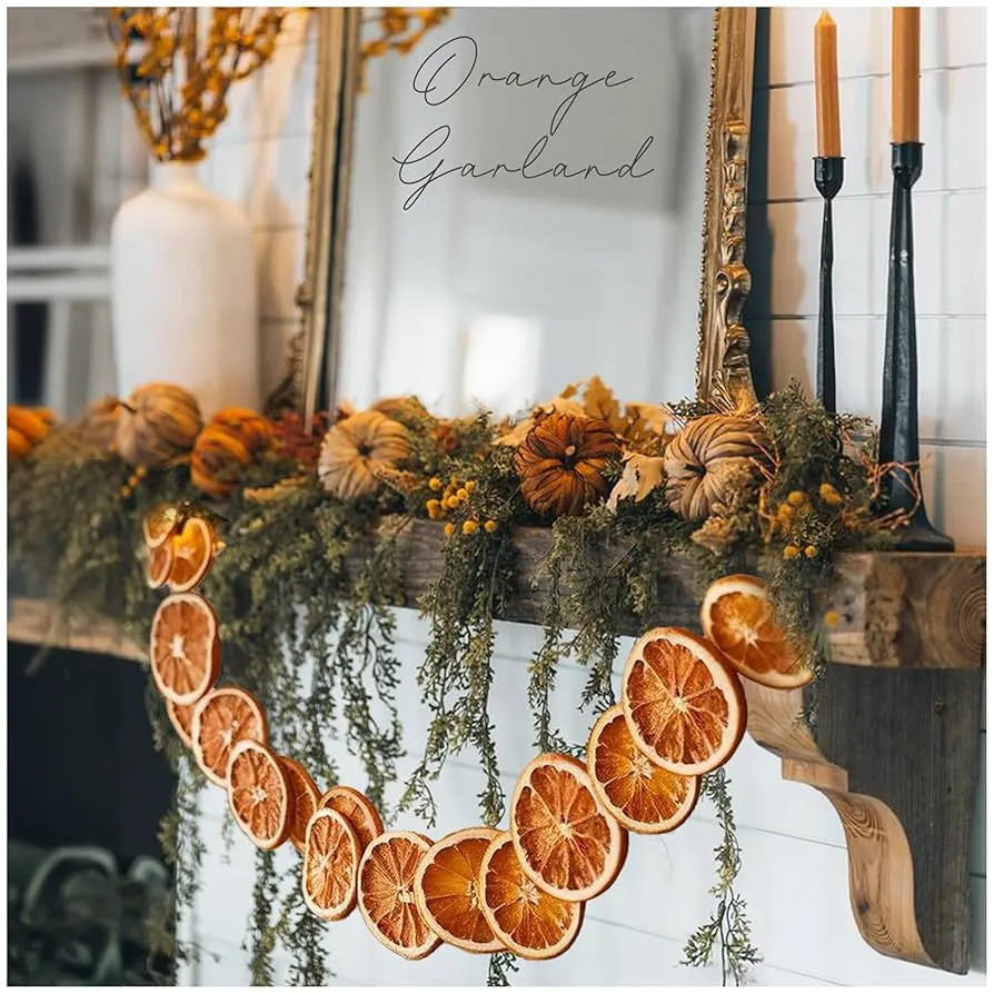 Best of Christmas Decor 2025