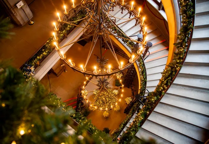 Biltmore marks start of 2025 holidays with Christmas tree raising