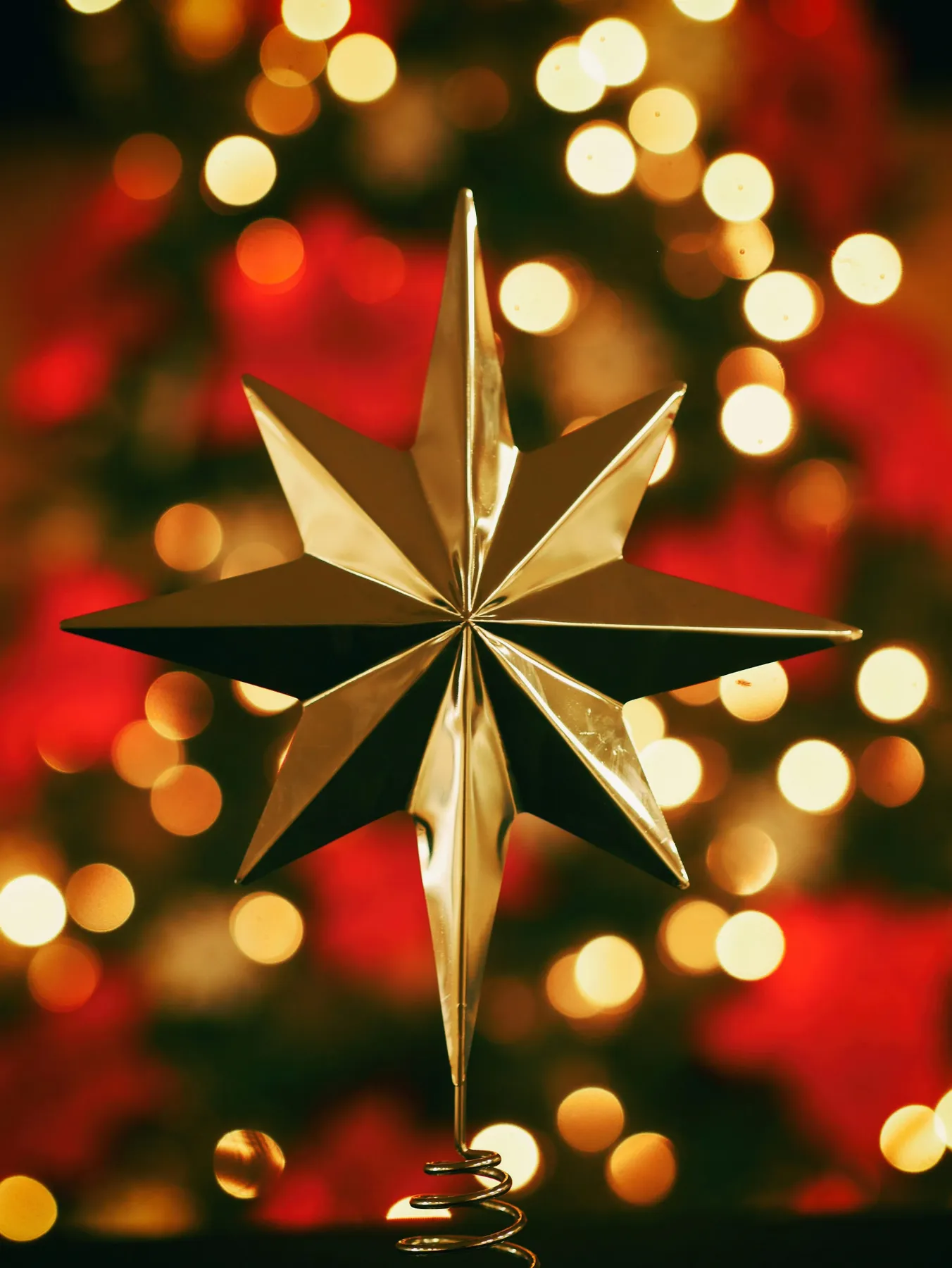 Bokeh photography of gold star tree topper - Free Photo on Unsplash