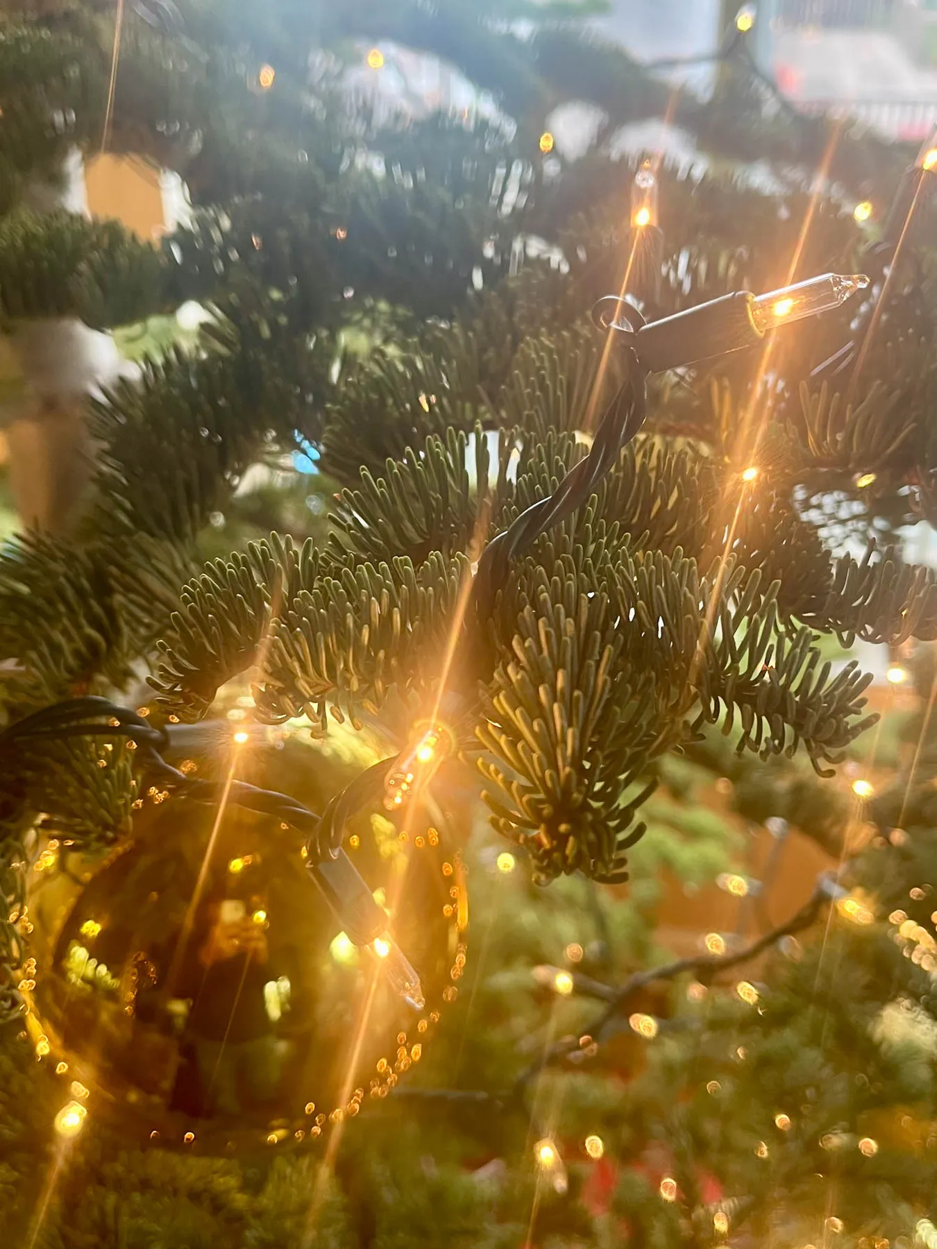 Branching Out to a Silvertip Christmas Tree: Elevate Your Holiday Style