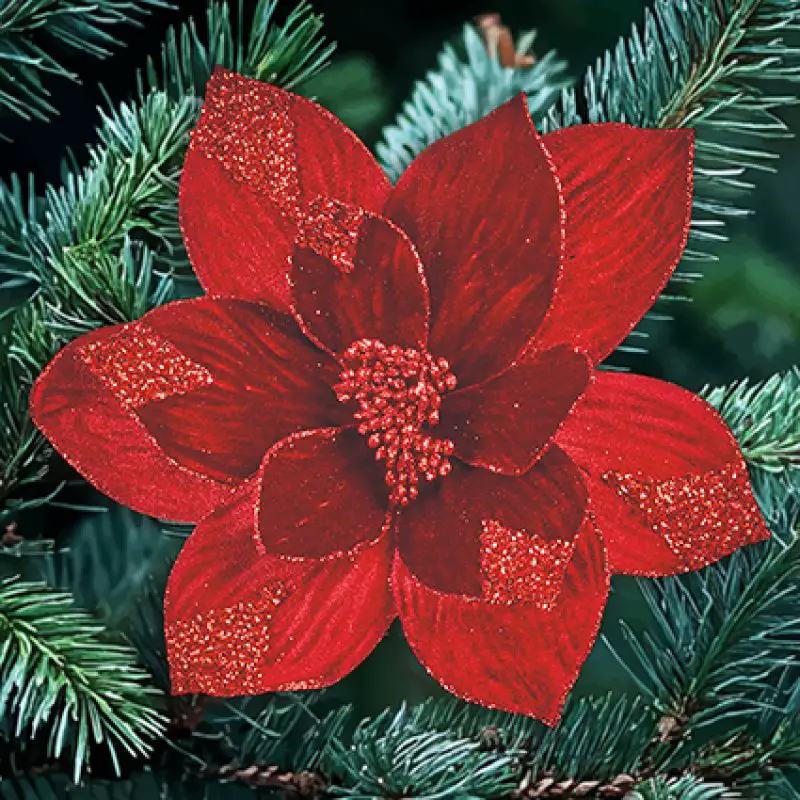 Burgundy Velvet Poinsettia Clip 29 cm | Newlands — Newlands Garden Centre