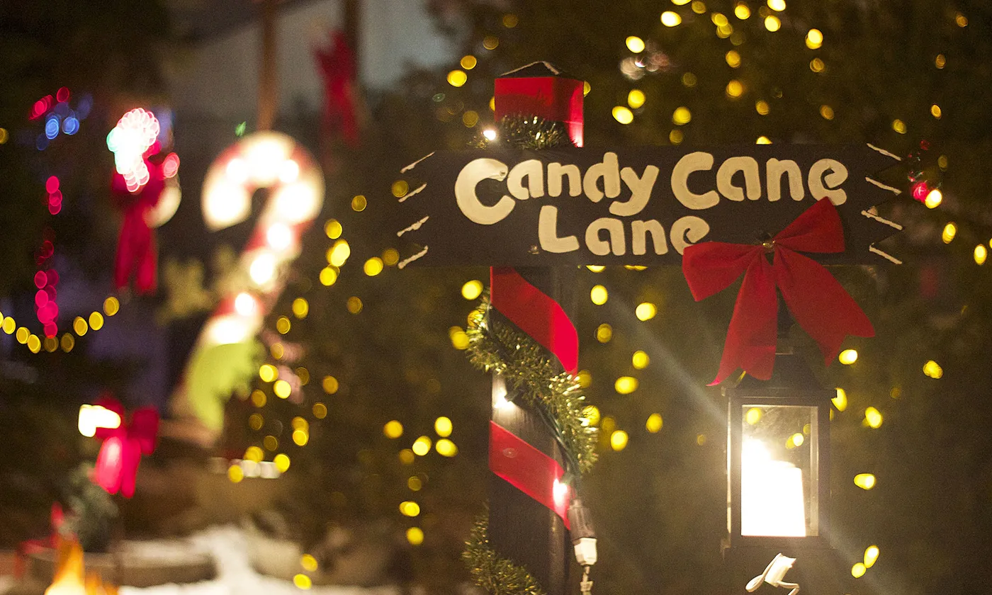 Candy Canes Archives