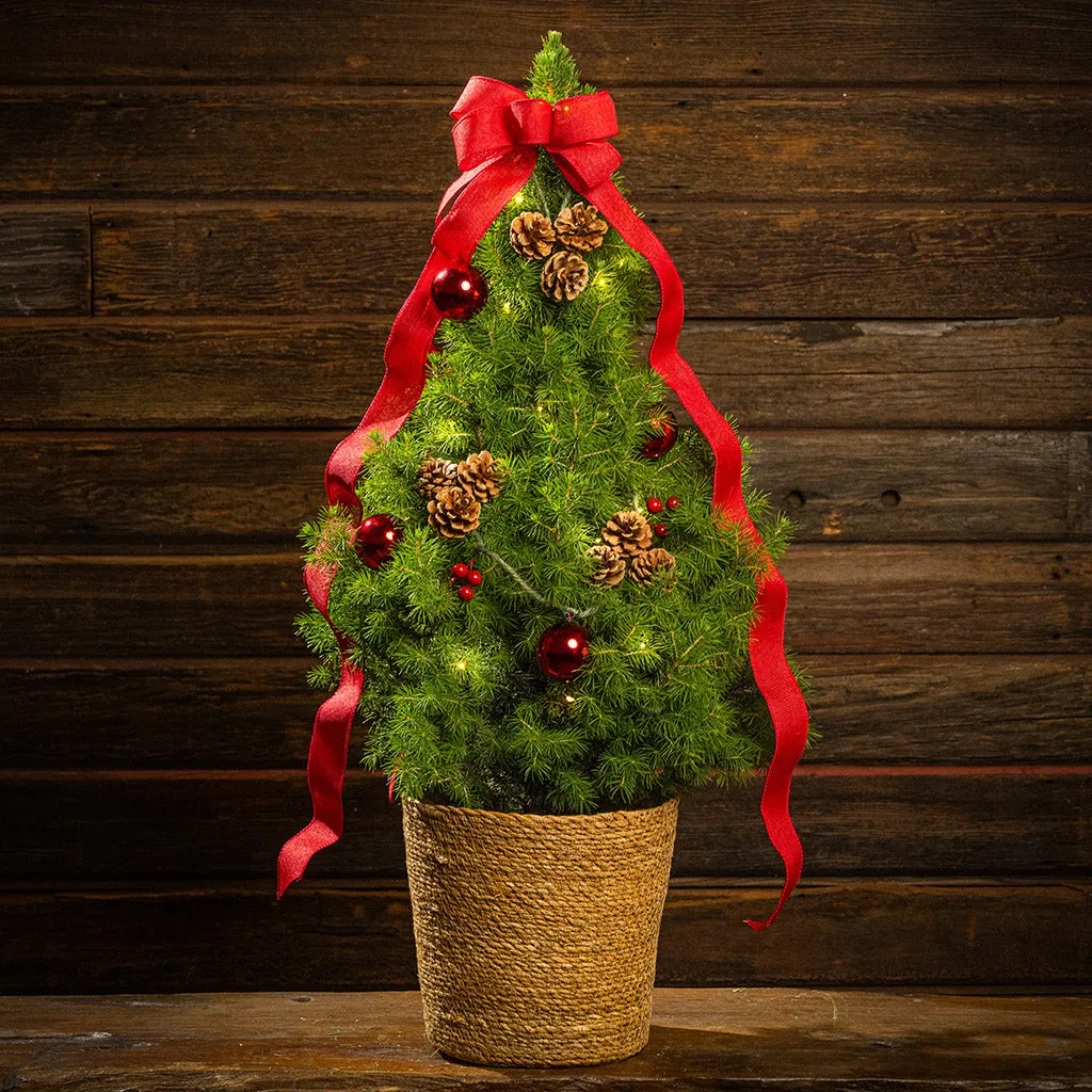 Celebrate the Season with Lynch Creek Farm's Elegant Living Christmas