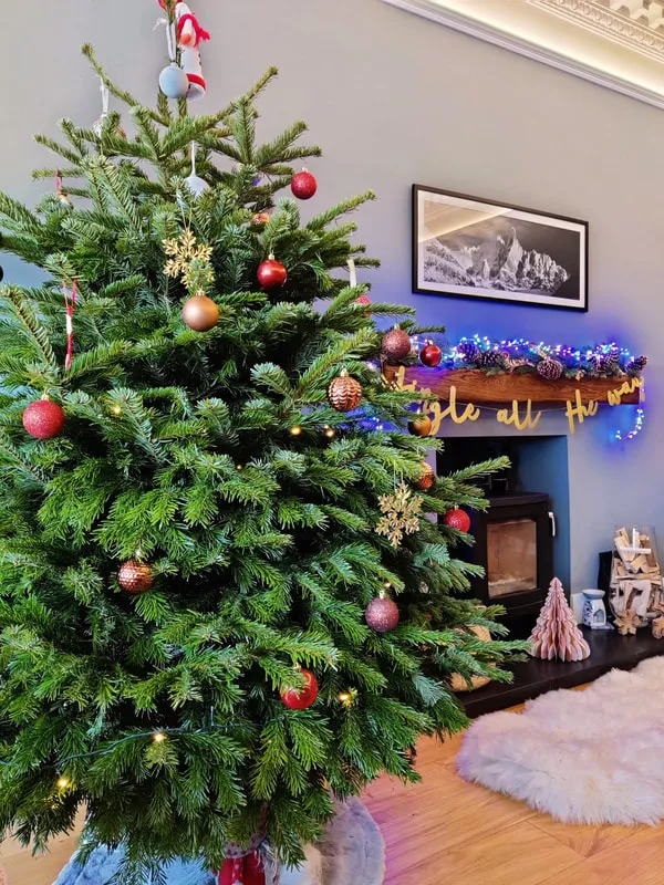 Christmas Tree Delivery Edinburgh | Real Trees Delivered