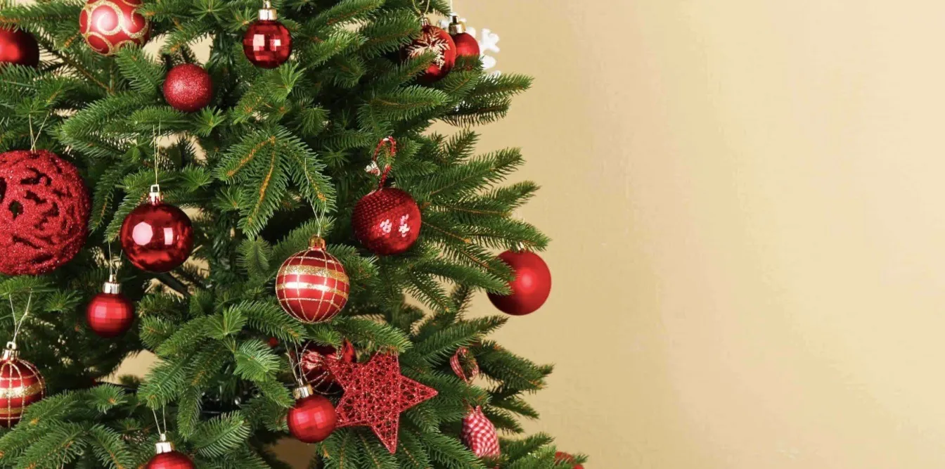 Christmas Trees: A Brief History – Khambay's Words, Words, Words