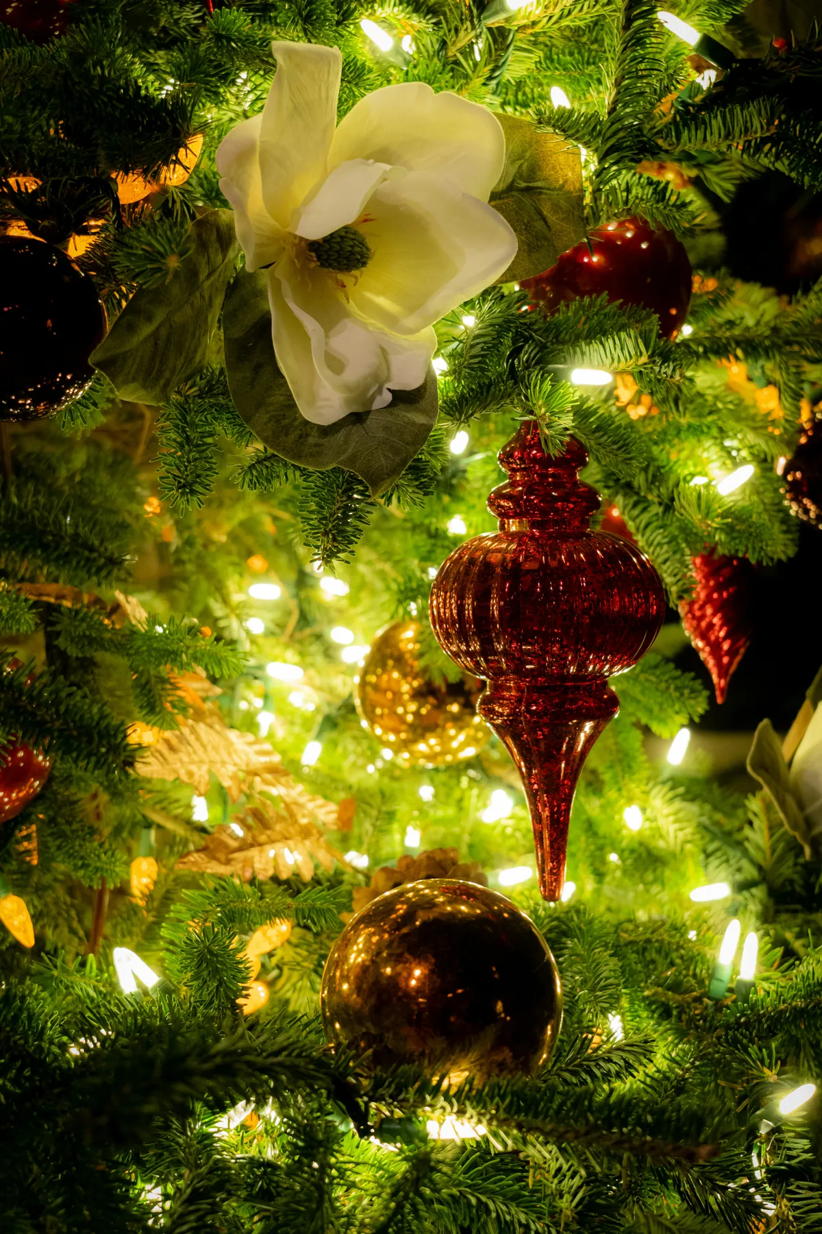 Close-up of a Christmas tree with decorations