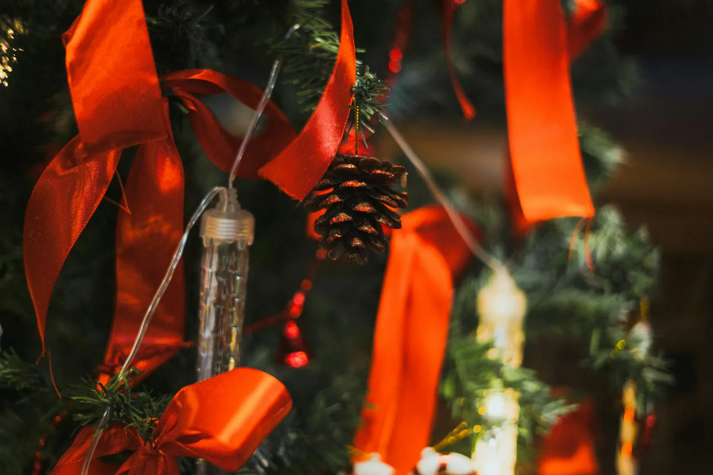 Close-up of a decorated christmas tree with red ribbons - Free Photo on Unsplash