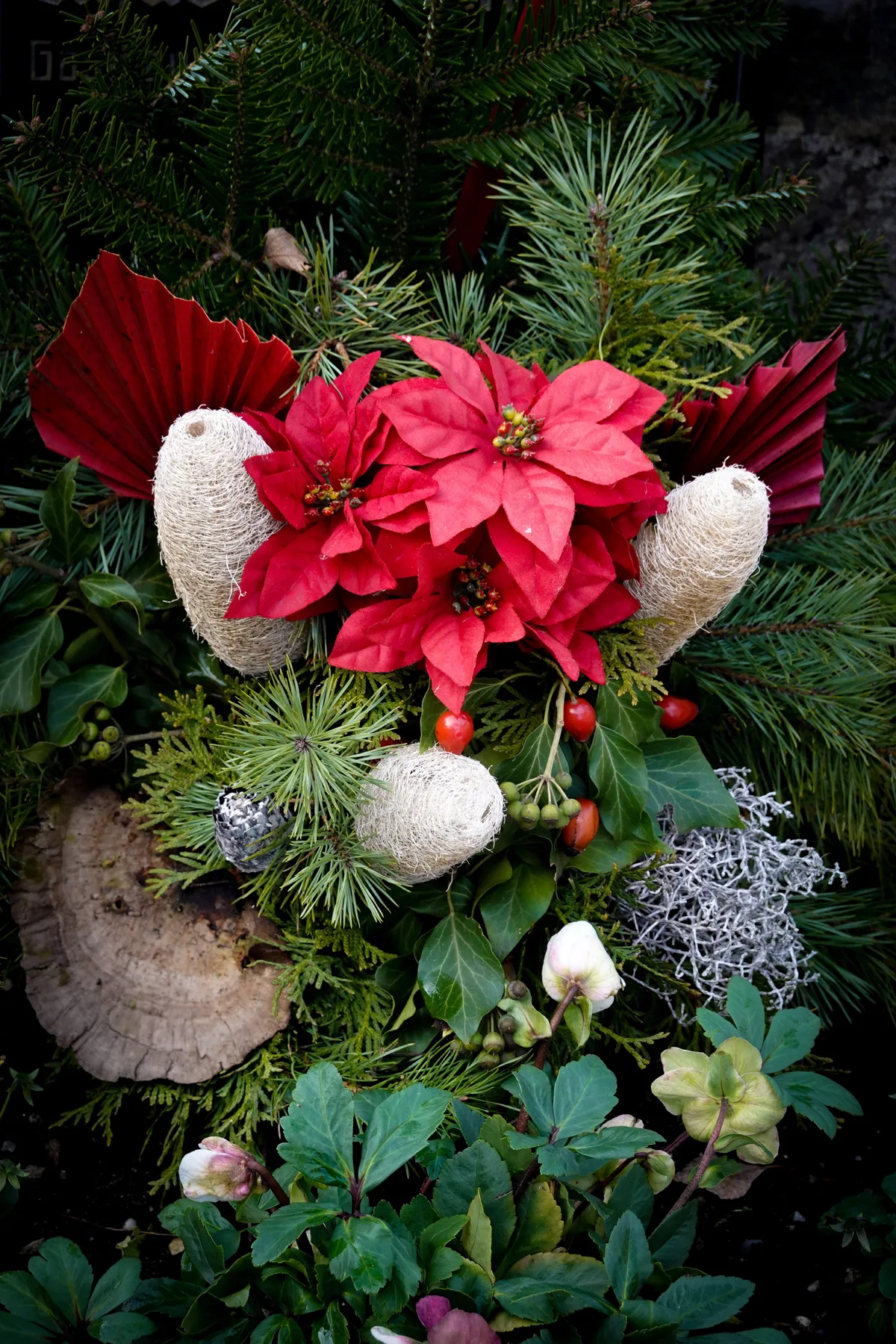 Close-up of a festive Christmas ornament with red poinsettias, pine, and holiday decorations.