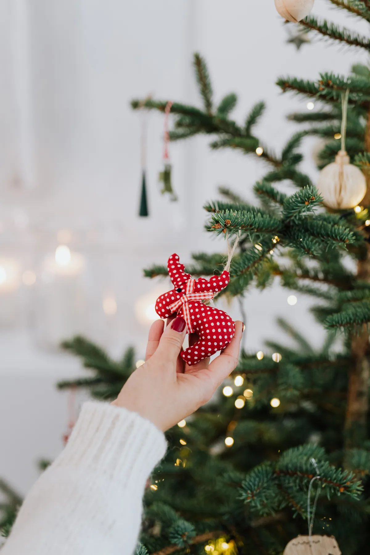 Close-up of a hand placing a red ornament on a decorated Christmas tree.
