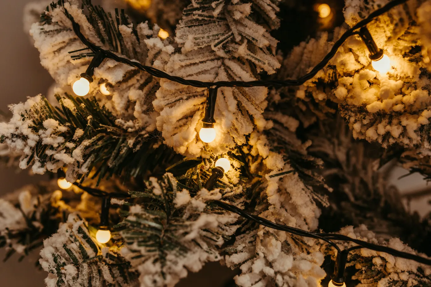 Close-up of a snow-covered Christmas tree adorned with warm glowing string lights.
