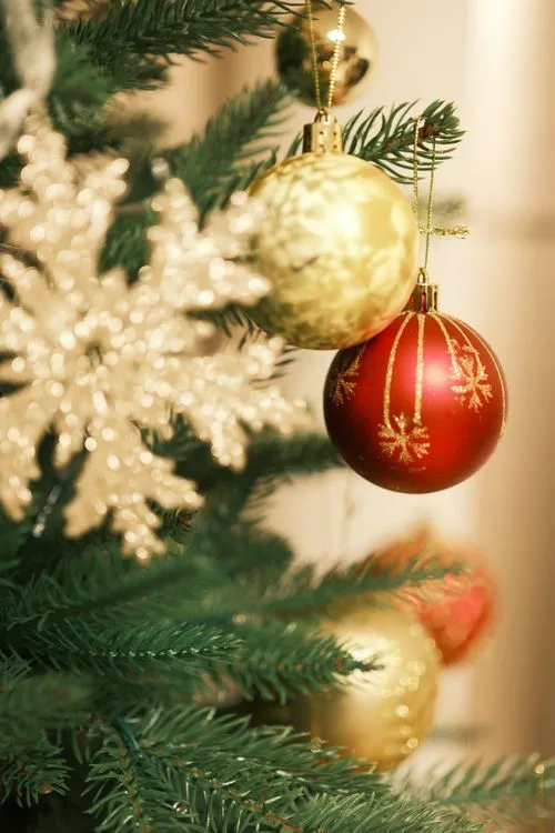 Close-up of Christmas Decorations · Free Stock Photo