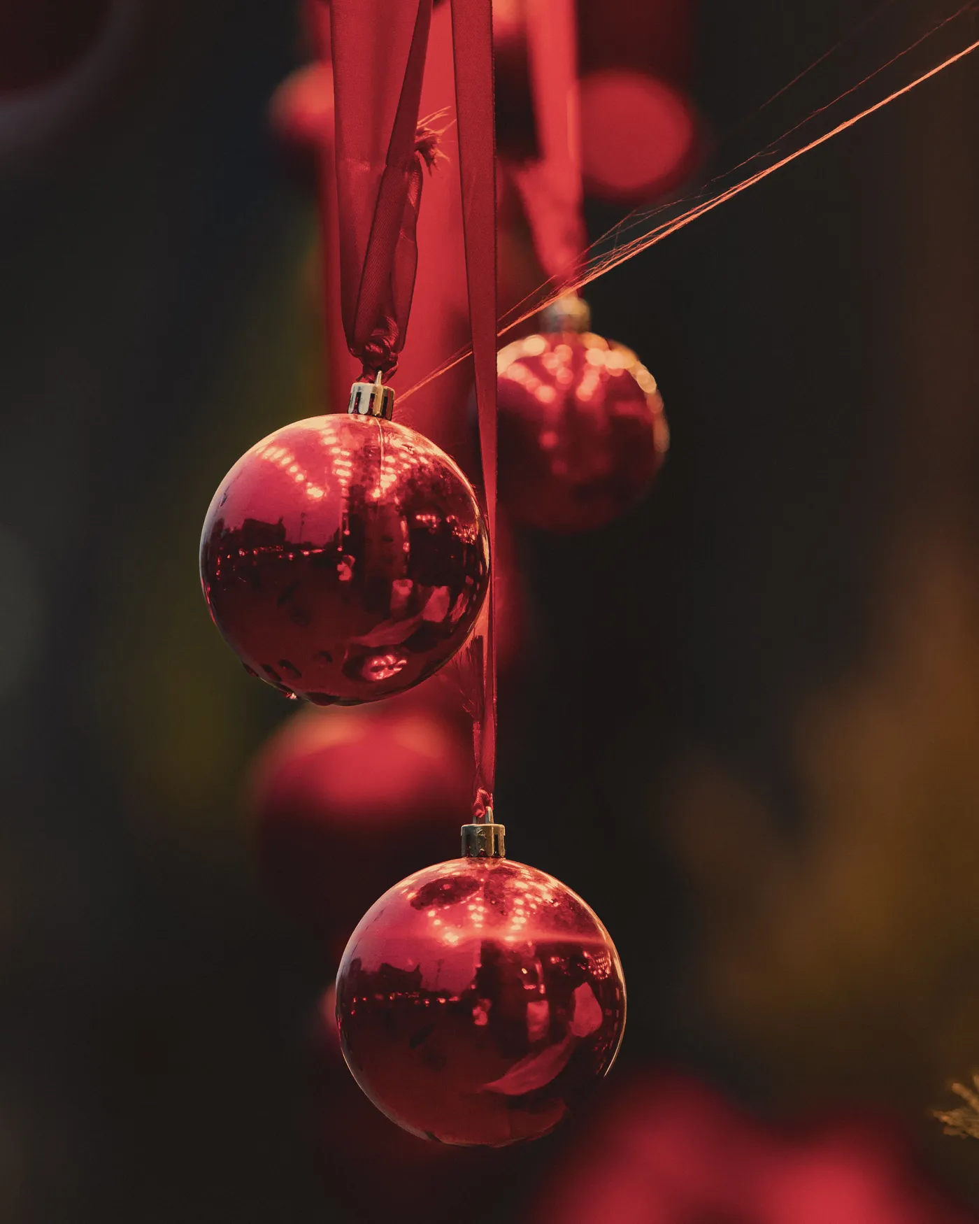Close-up of shimmering red Christmas ornaments hanging from ribbons. Festive and elegant holiday decor.