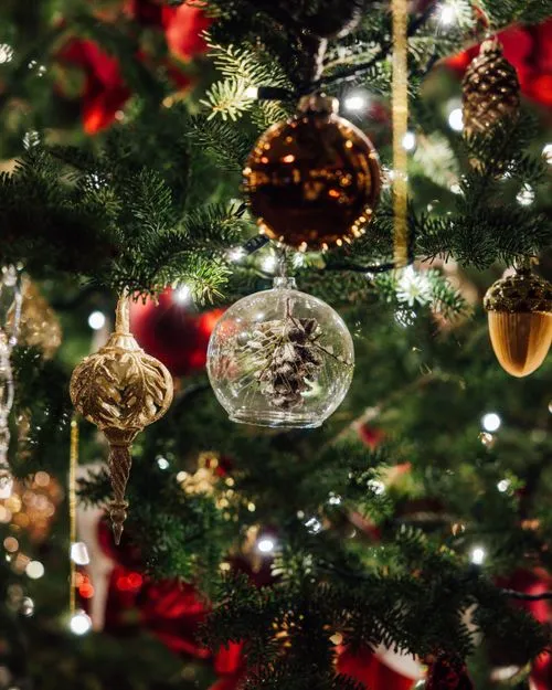 Close Up Photo of Ornaments on Christmas Tree · Free Stock Photo
