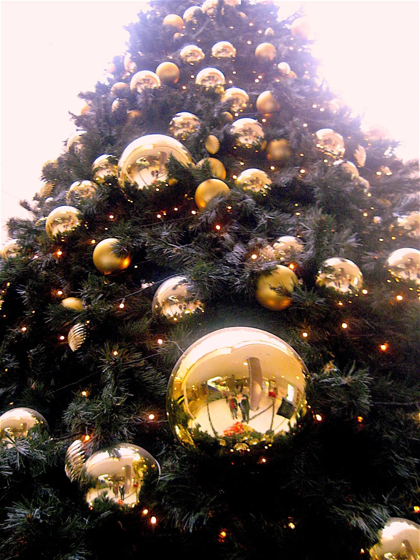 Close-up view of a Christmas tree adorned with radiant golden ornaments and lights.