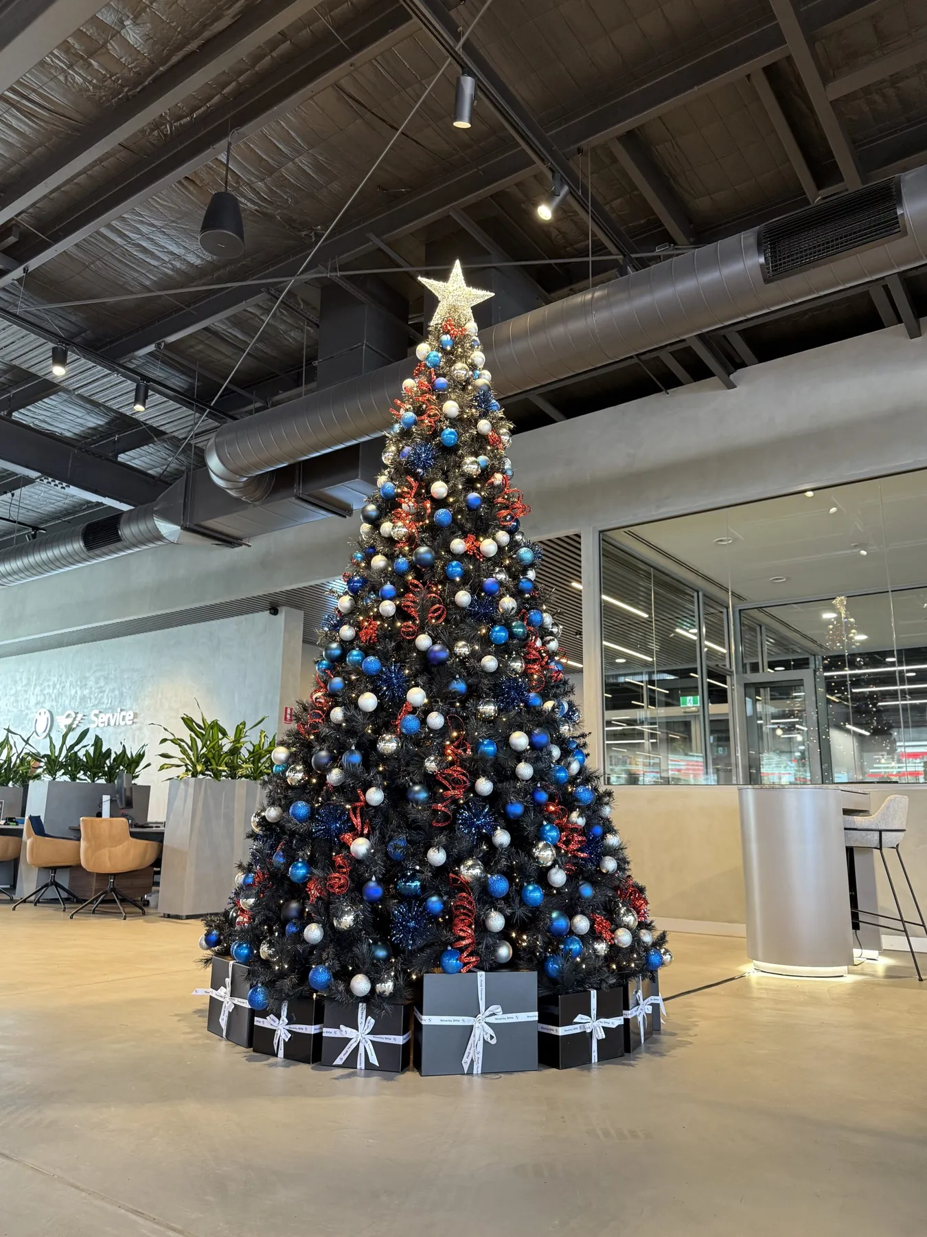 Collections - Baubles & Spruce | Christmas Tree Hire Melbourne