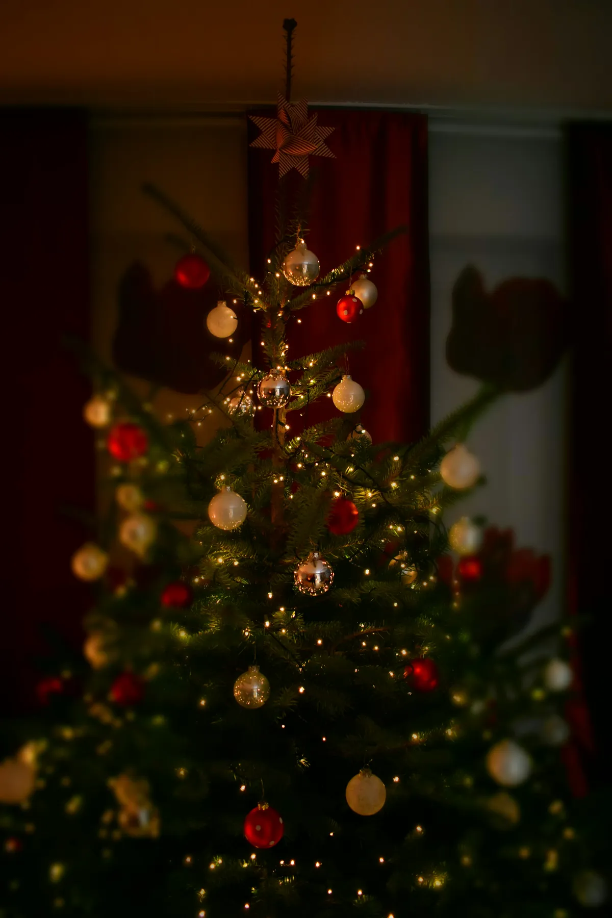 Colorful Christmas Tree