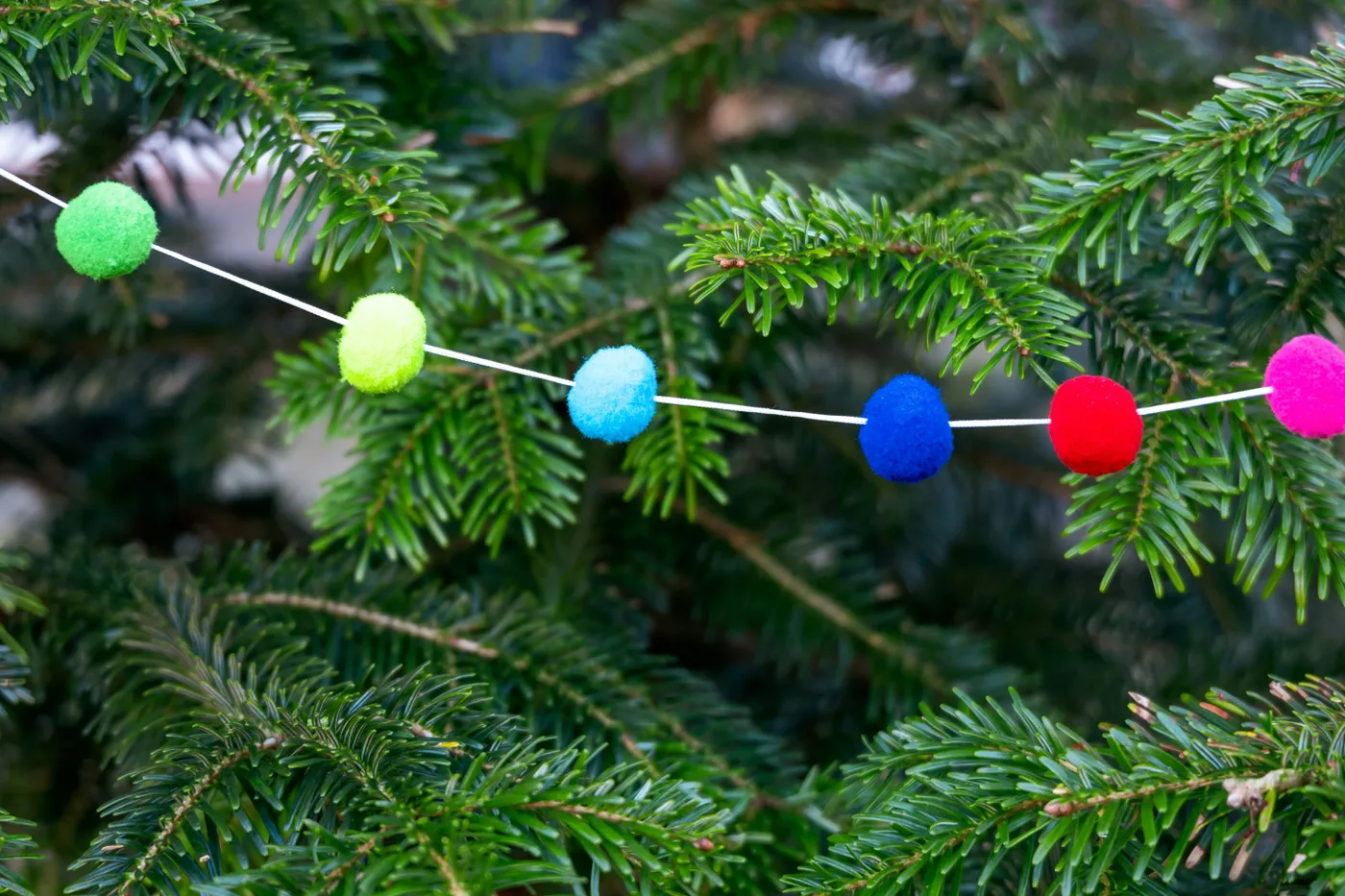 Colorful pom-pom garland on a christmas tree - Free Photo on Unsplash